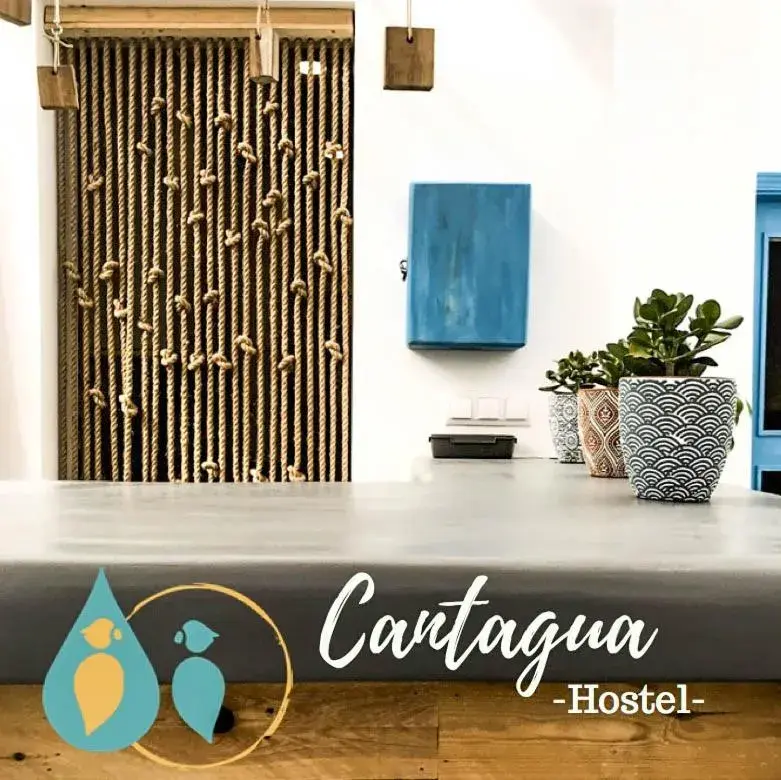 Lobby or reception in Cantagua Hostel