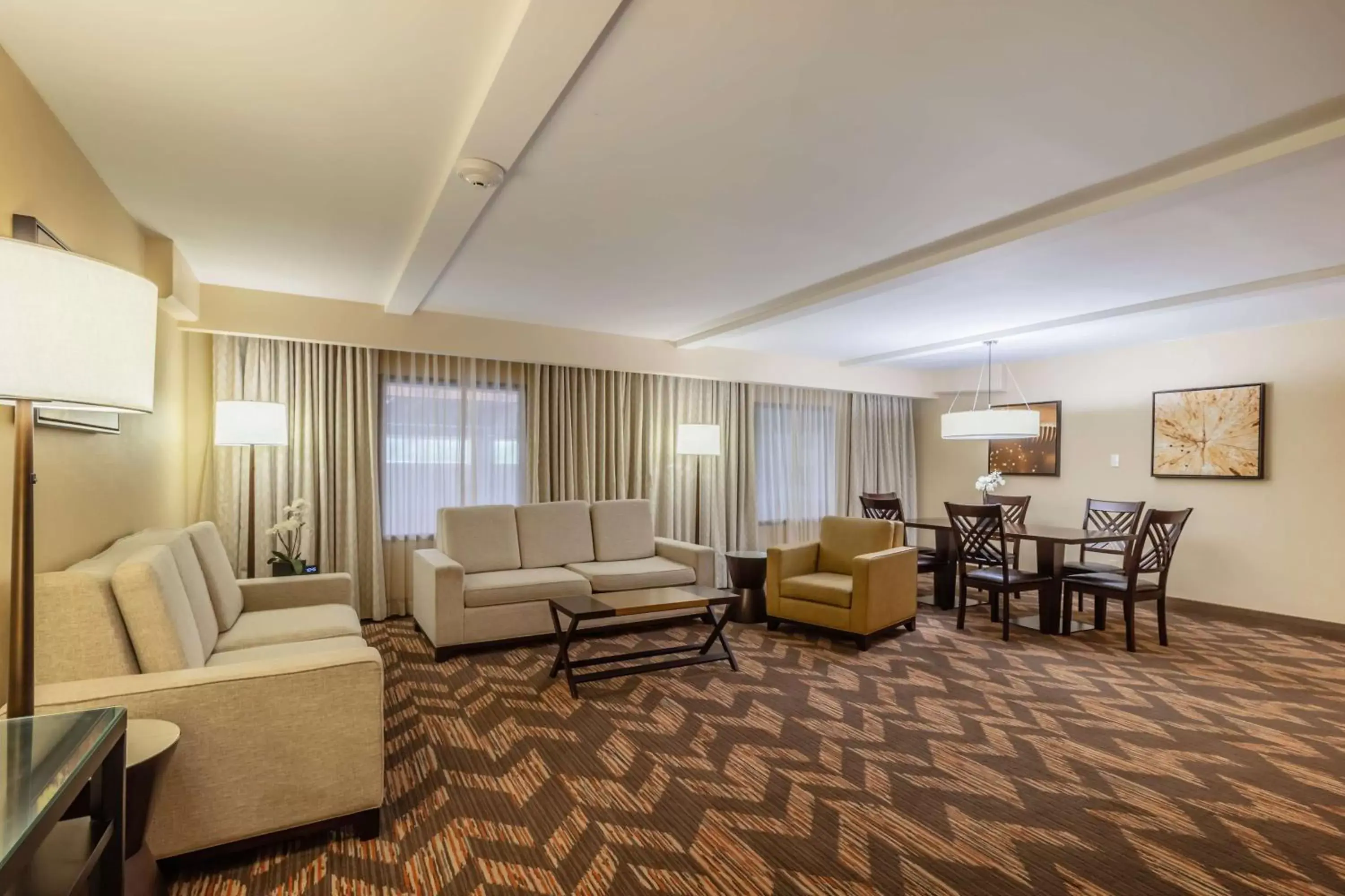 Living room, Seating Area in DoubleTree by Hilton Lawrence