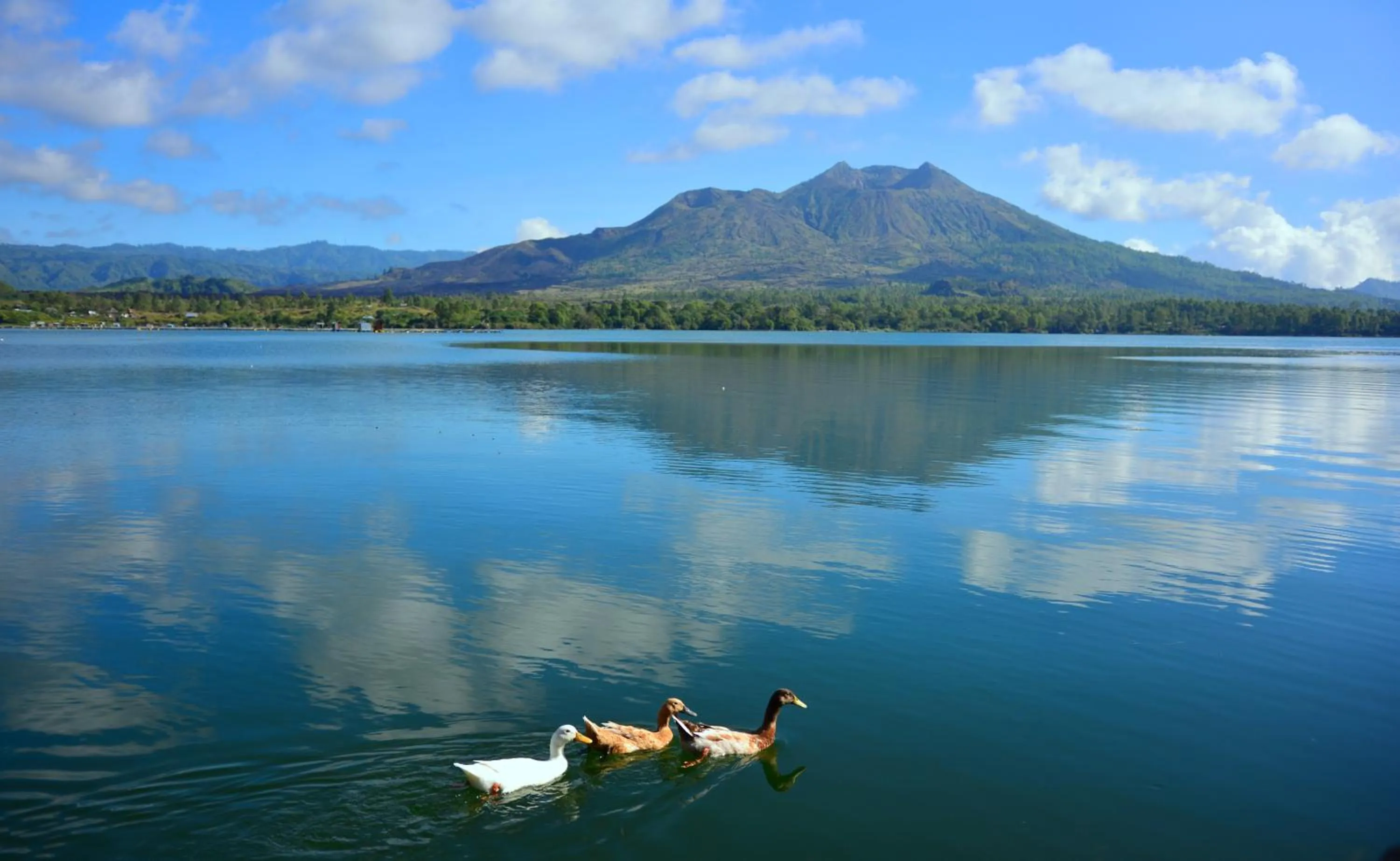 Canoeing in Griya Sriwedari