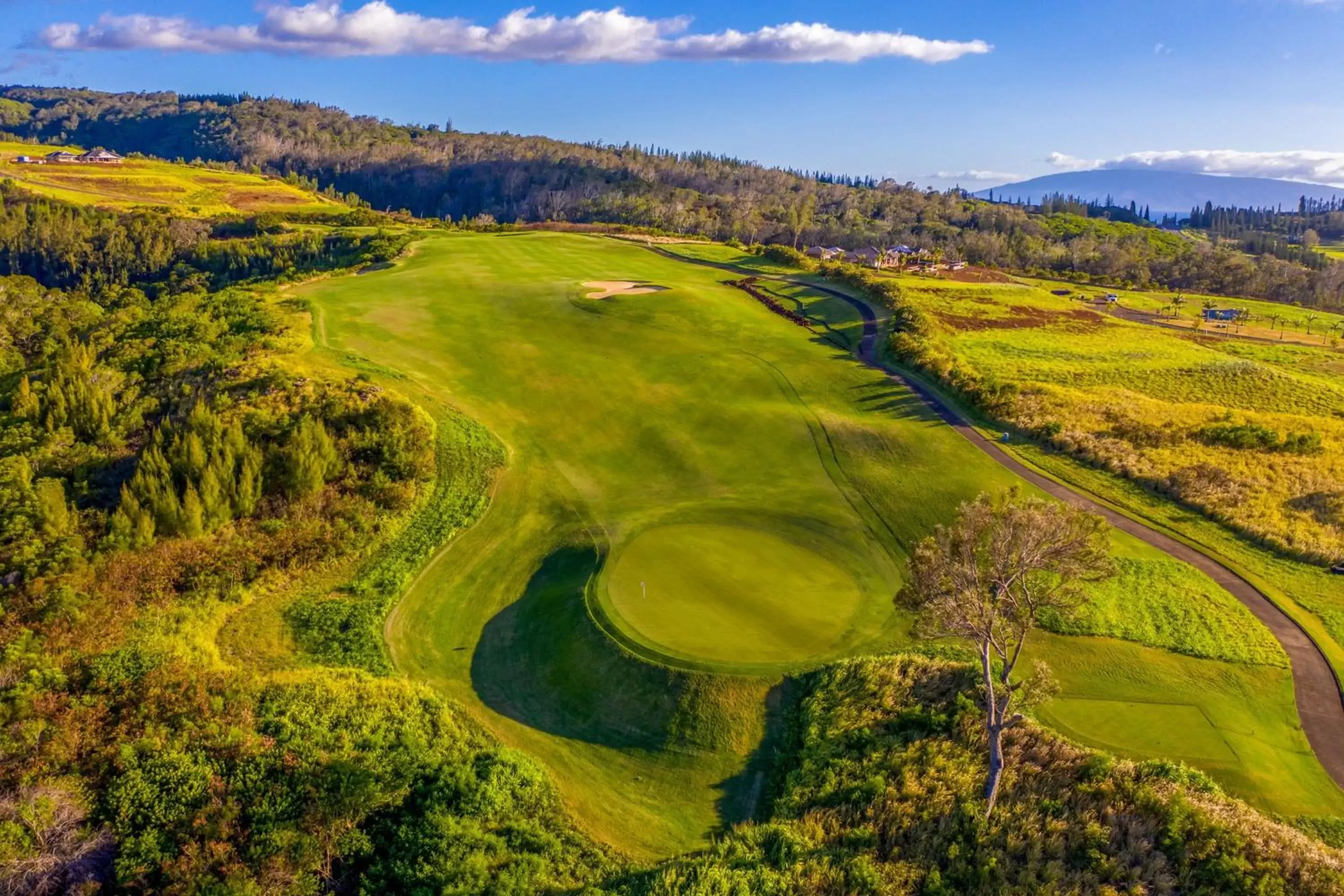 Golfcourse, Bird's-eye View in The Ritz-Carlton Maui, Kapalua