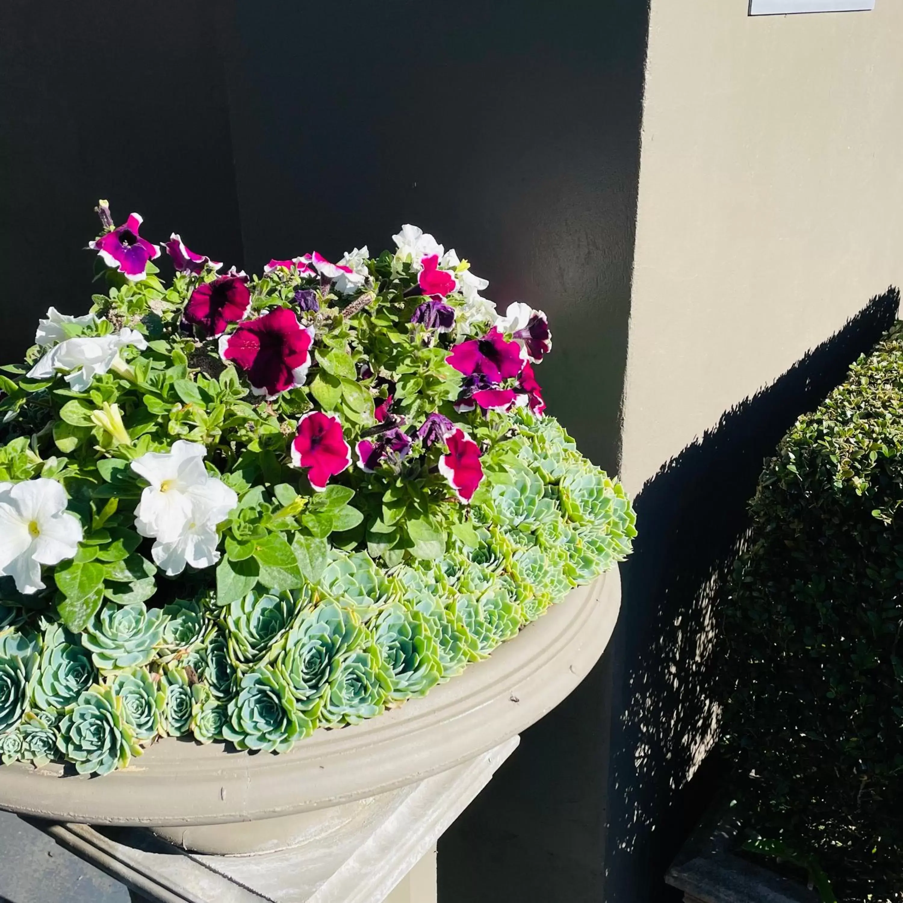 Garden in Gallery Apartments