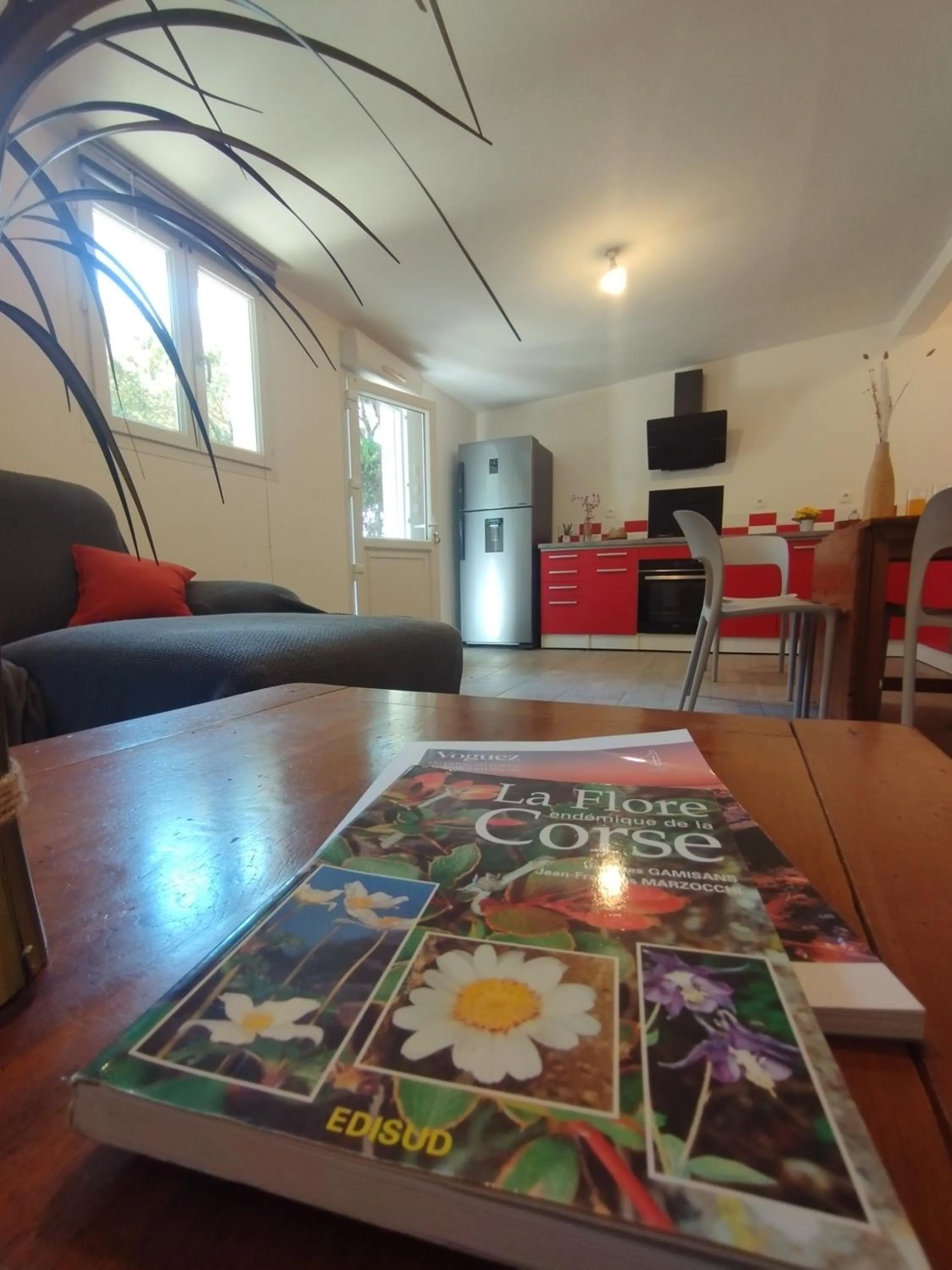 Kitchen or kitchenette in Hôtel Padolo