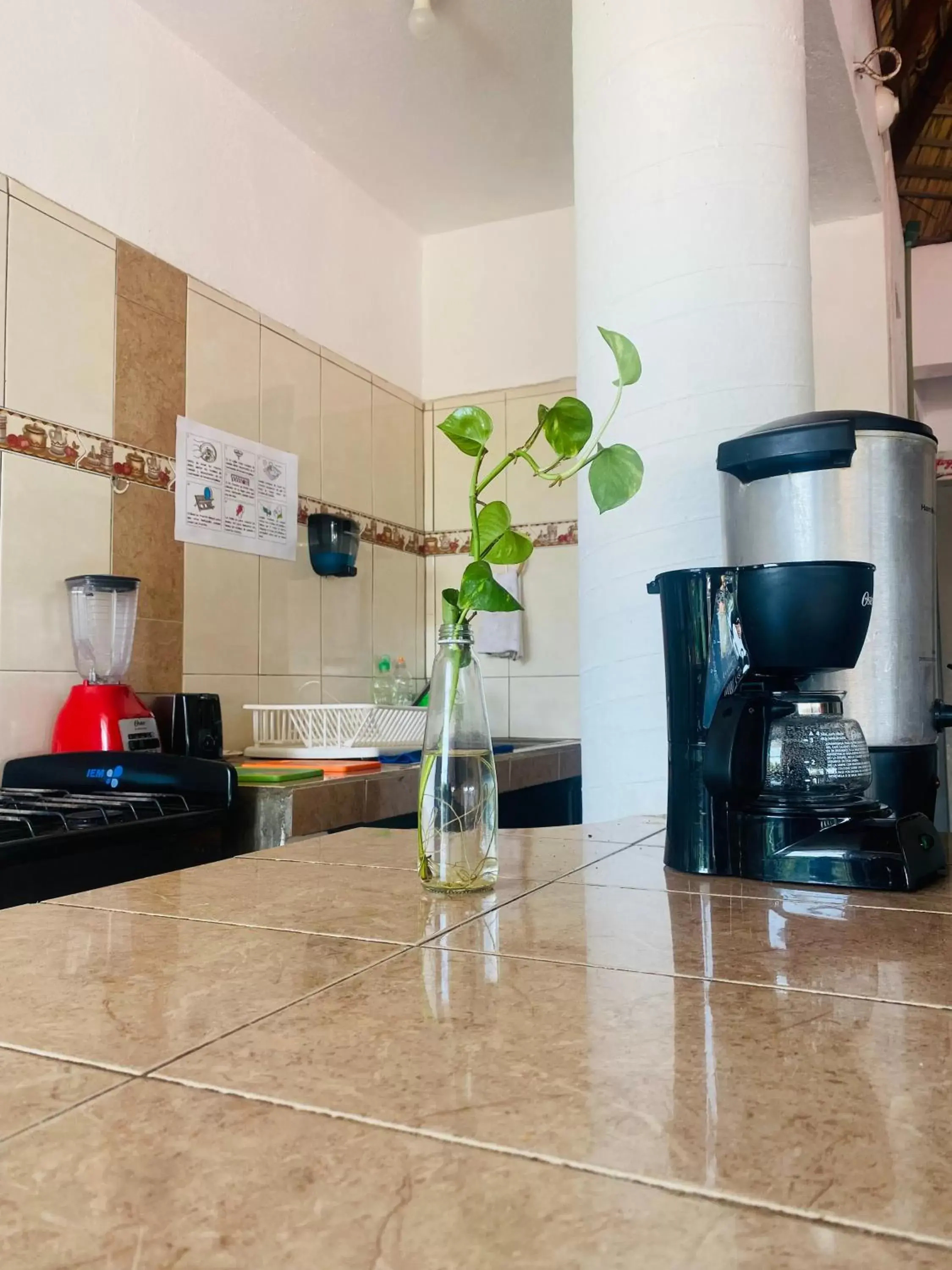 Kitchen or kitchenette in Casa TACUBA