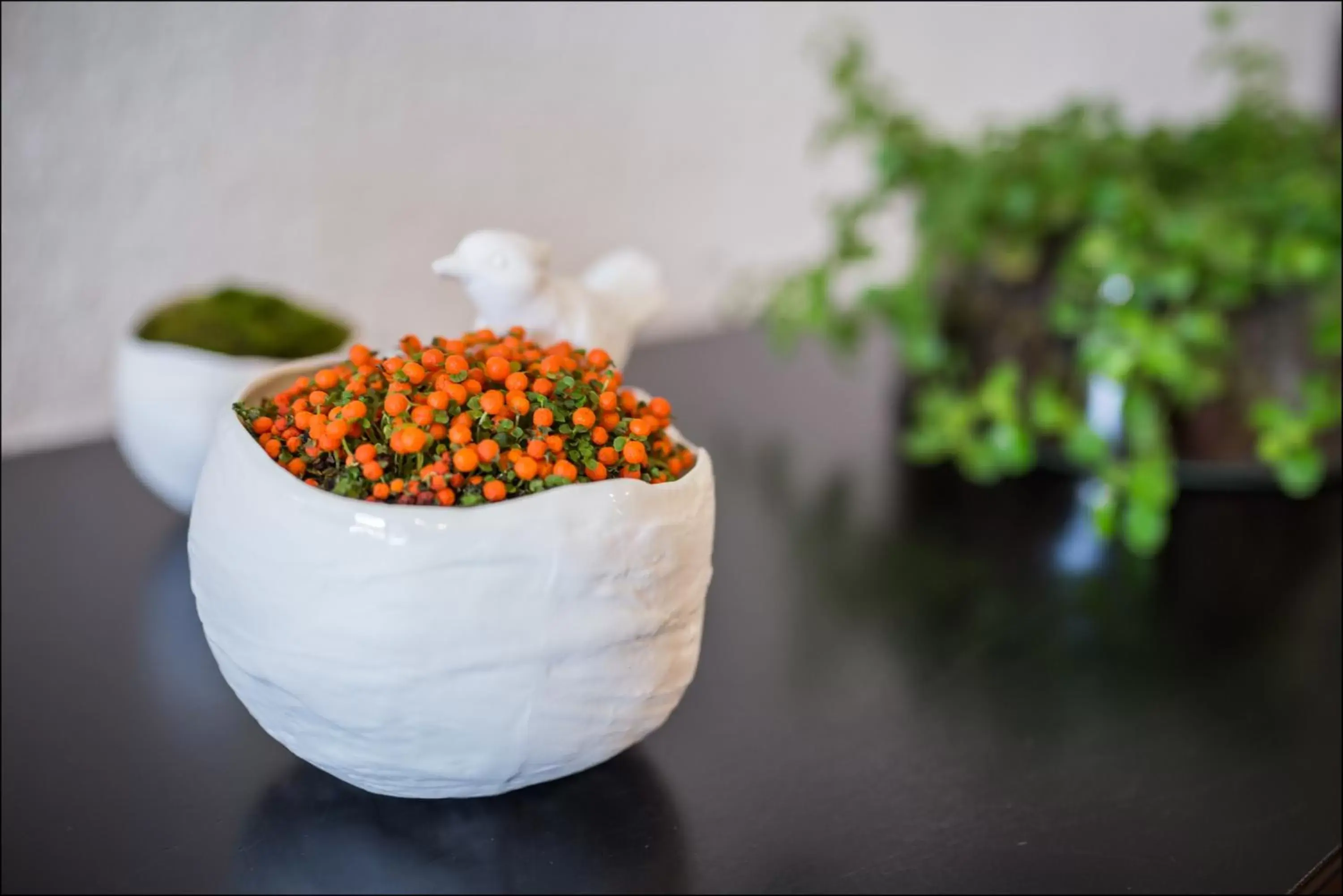 Decorative detail, Food in Hotel Spa Azteca Barcelonnette