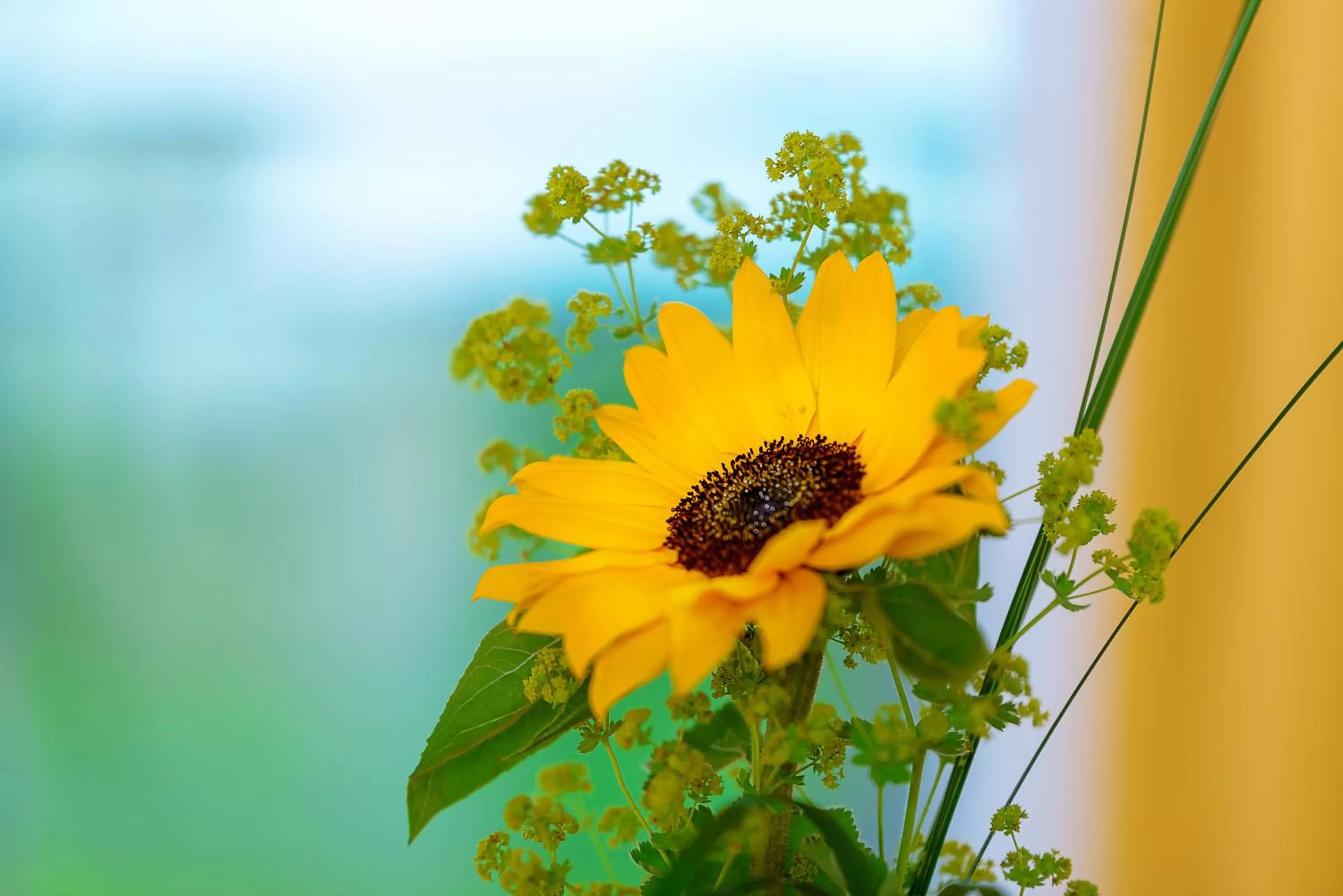 Decorative detail in Hotel Restaurant Sokrates