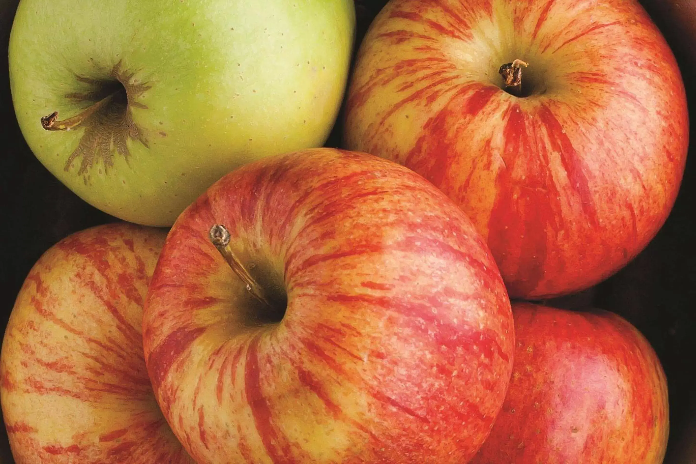 Food and drinks in La Quinta by Wyndham Waxahachie Food and drinks in La Quinta by Wyndham Waxahachie