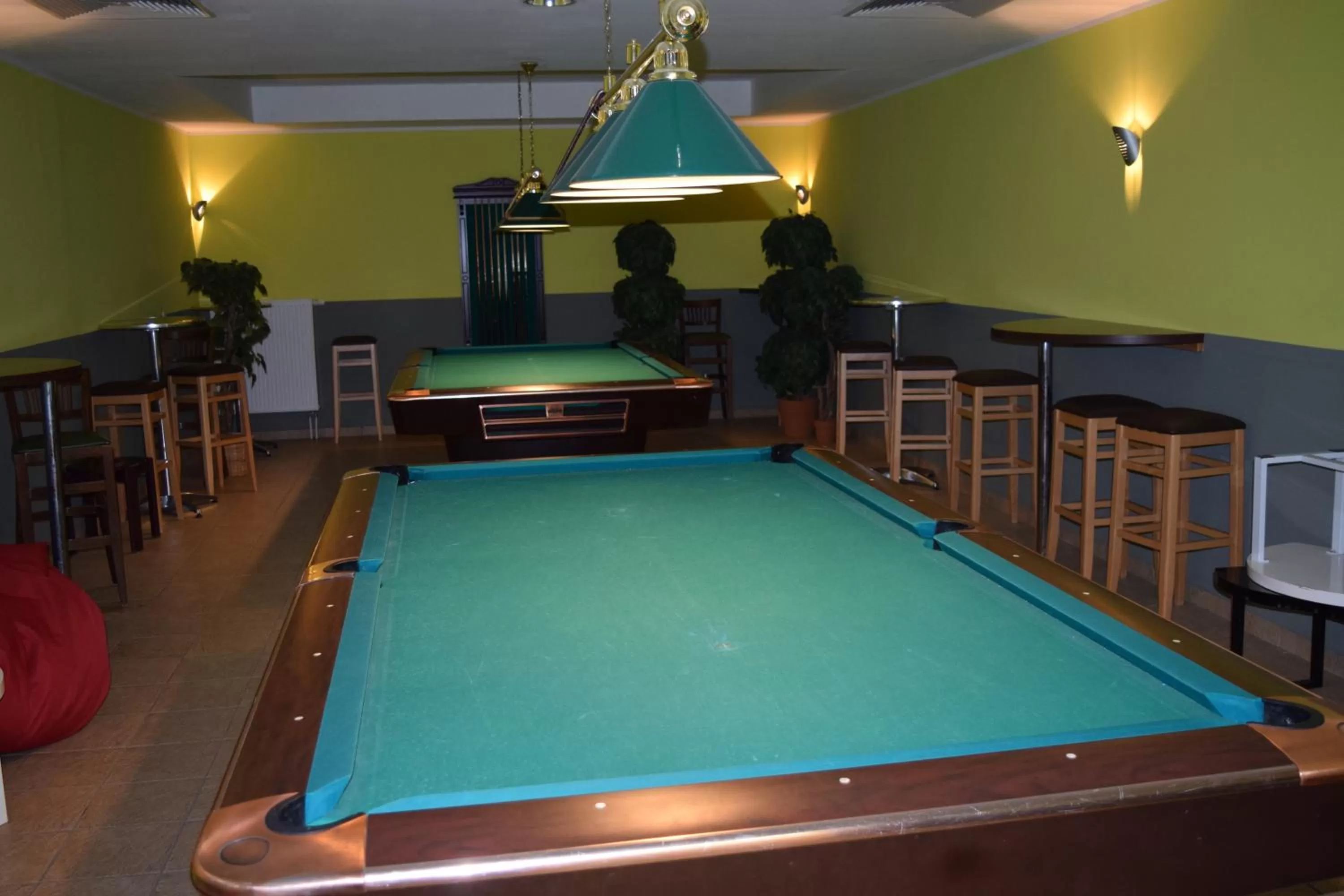 Billiard in Euroville Jugend- und Sporthotel
