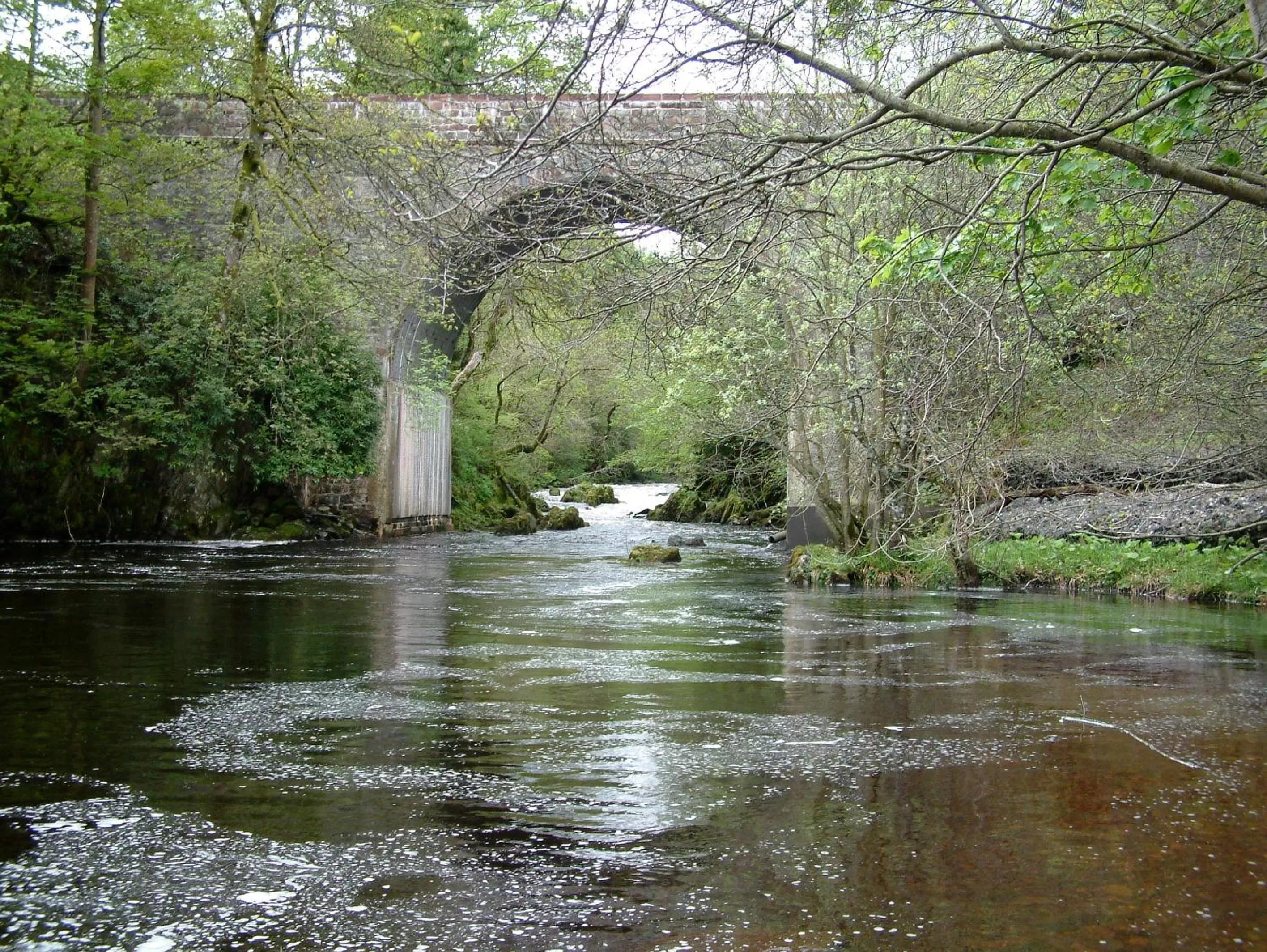 Natural landscape in Bridge of Cally Hotel
