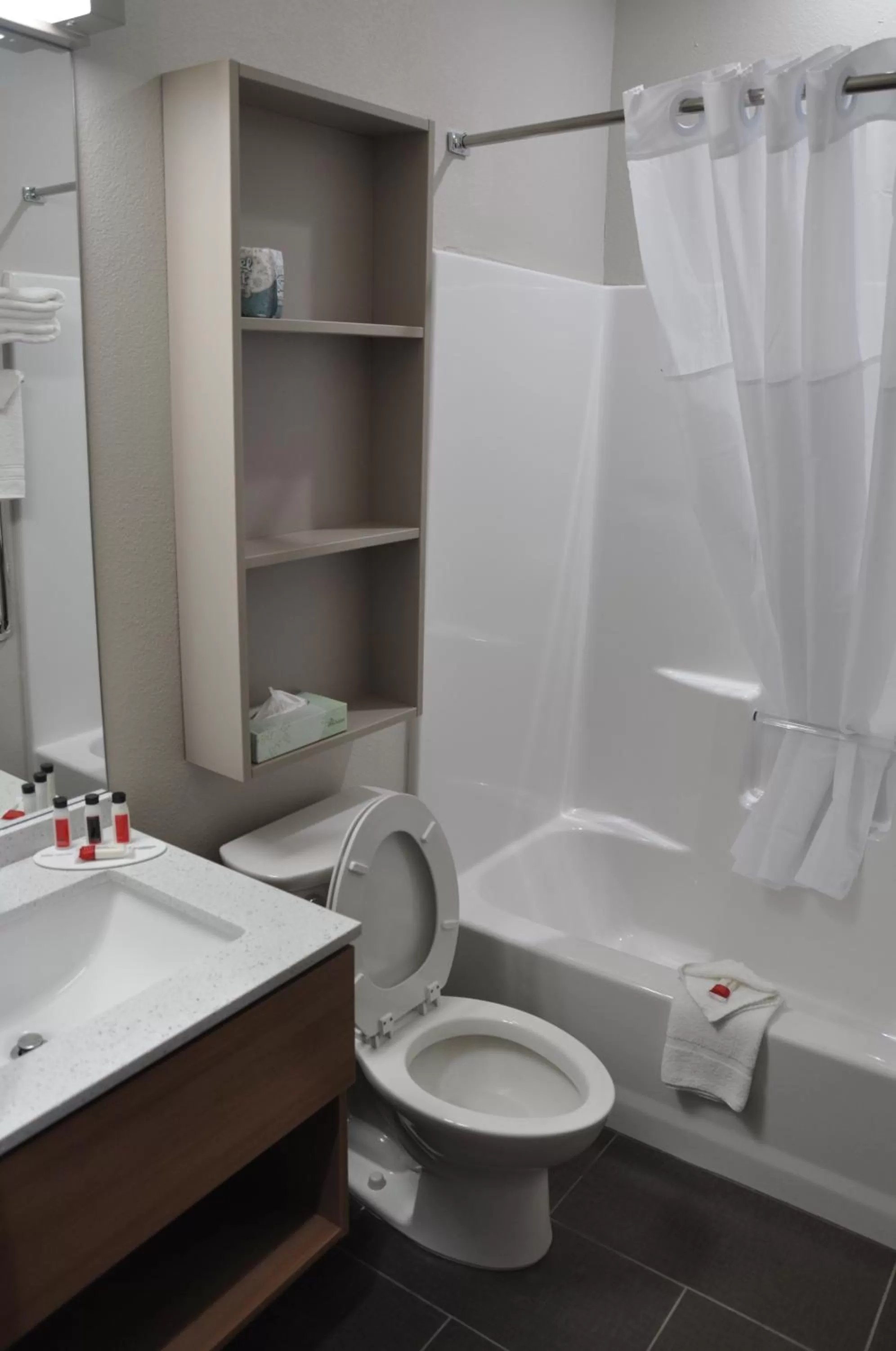 Bathroom in Microtel Inn & Suites by Wyndham Lubbock