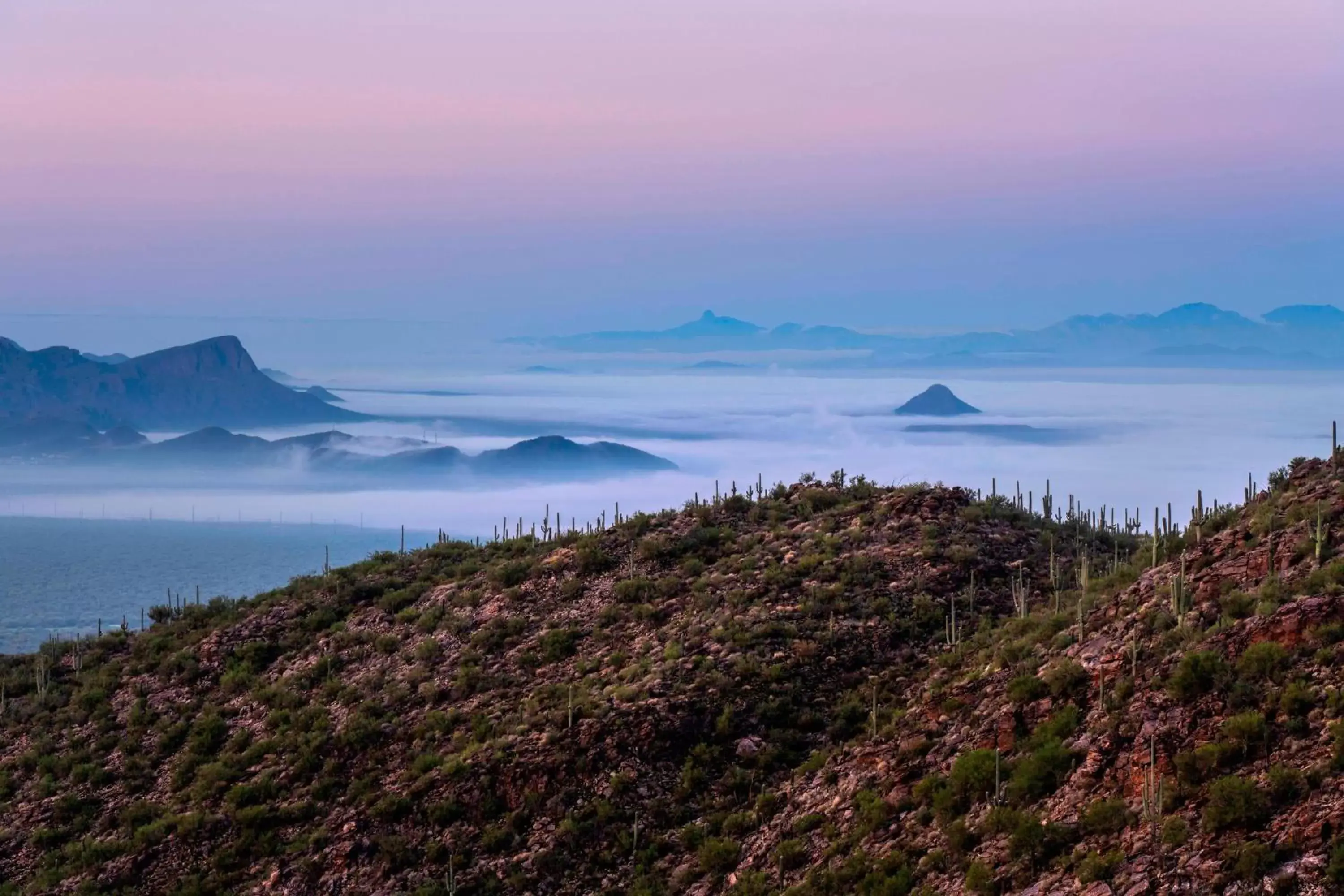 Property building, Natural Landscape in The Ritz-Carlton, Dove Mountain