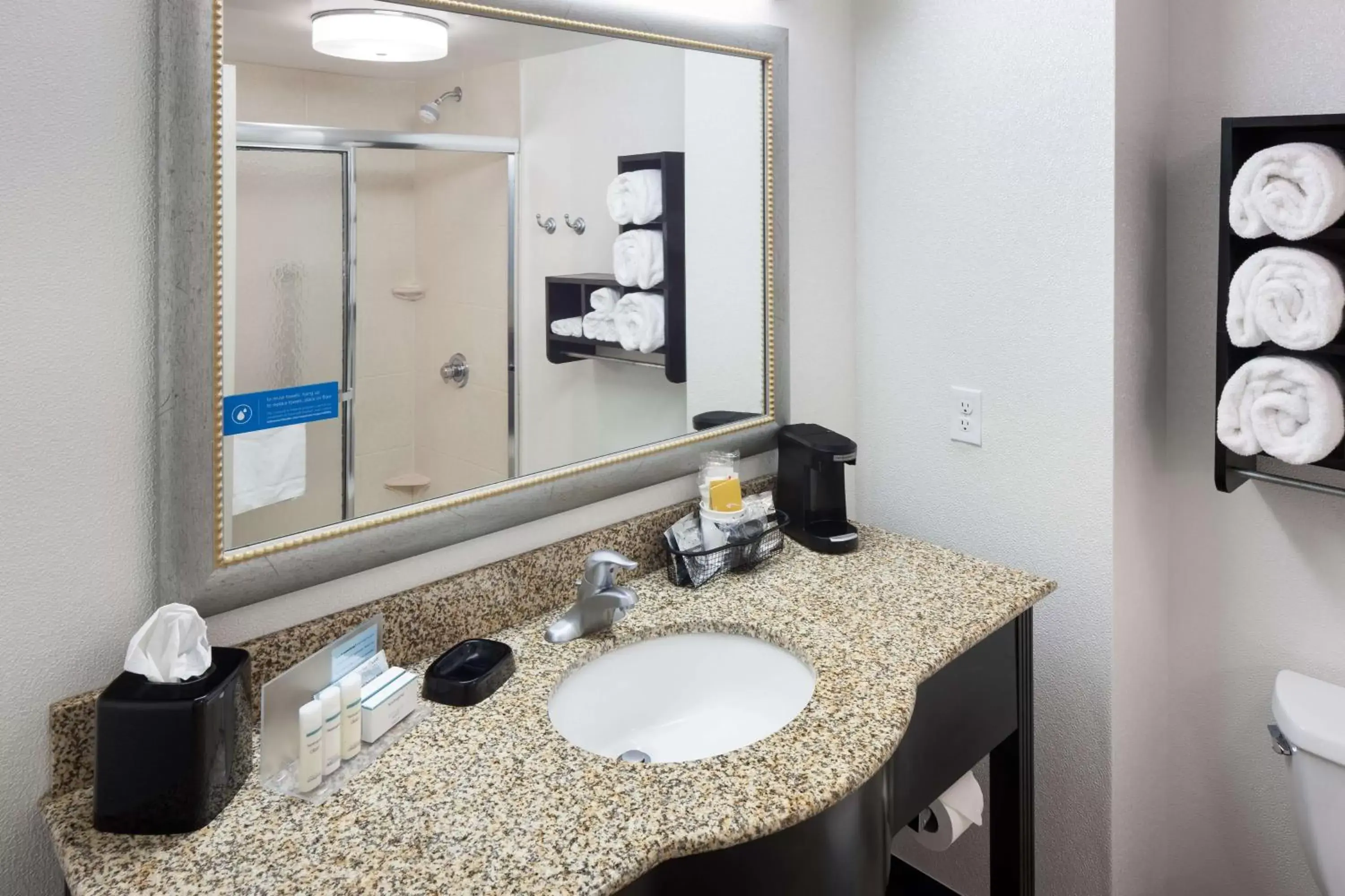 Bathroom in Hampton Inn & Suites Gainesville Downtown