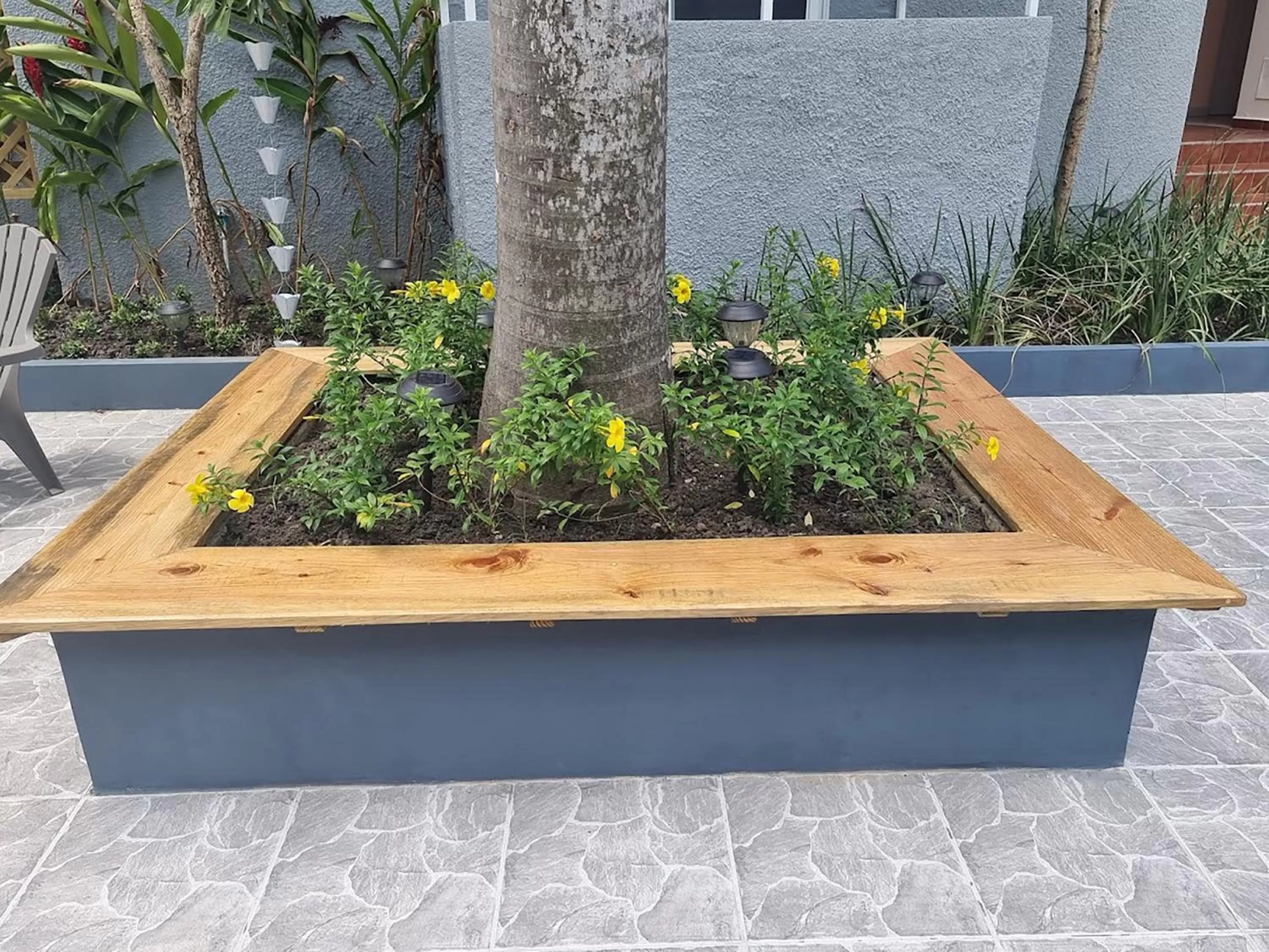 Garden view in Hotel Sea Breeze Sosua