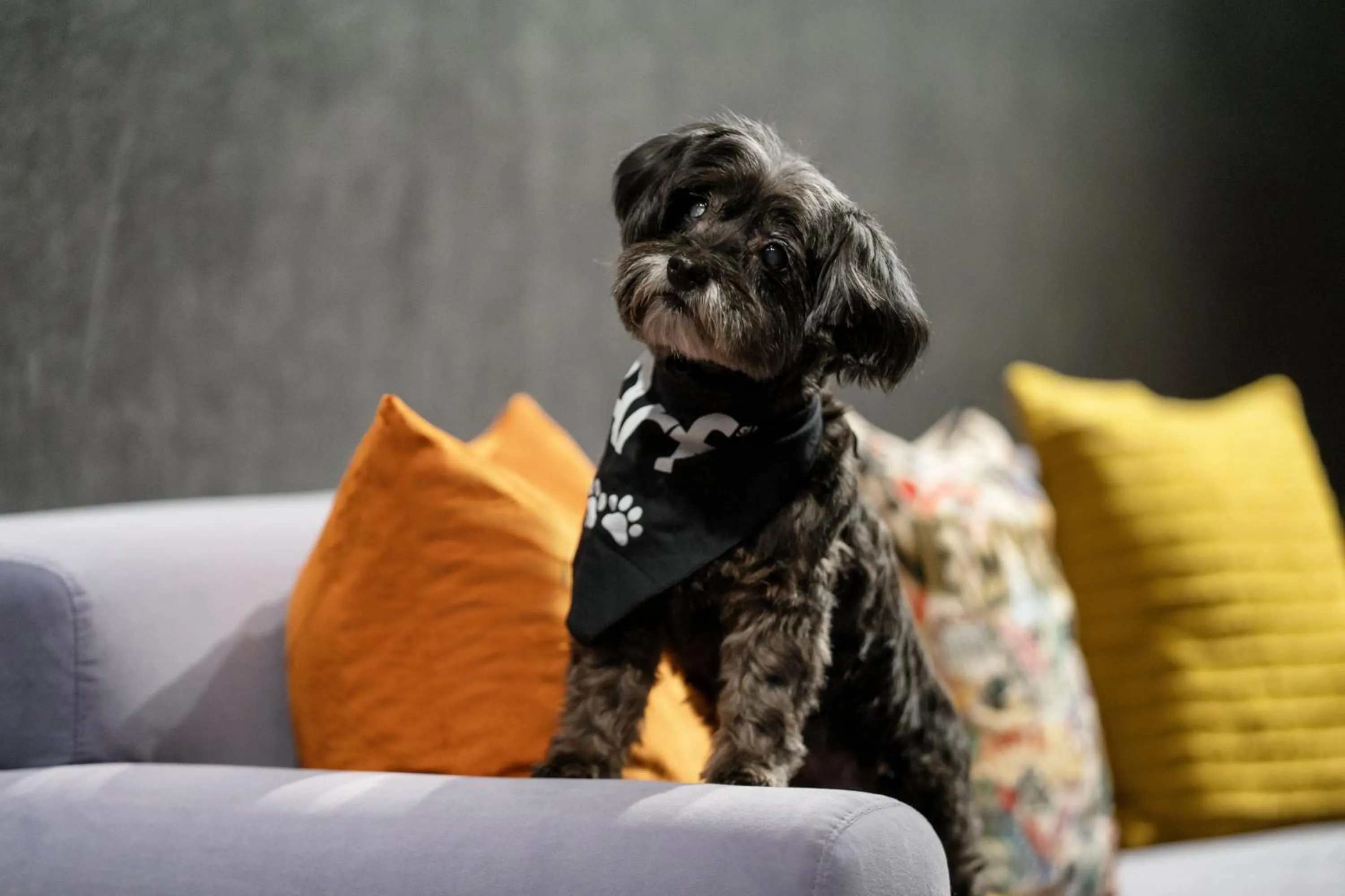 Other in Aloft New York Chelsea