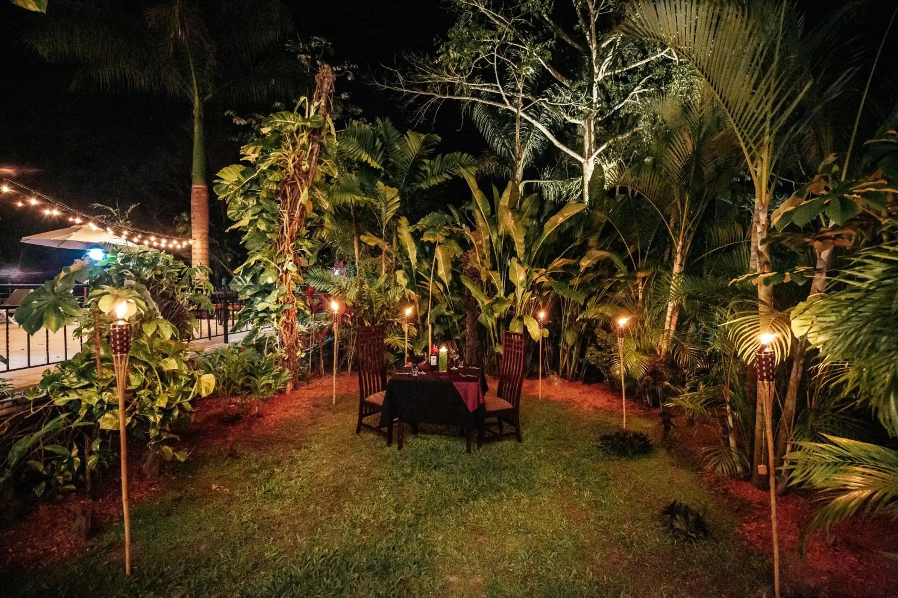 Garden in San Ignacio Resort Hotel