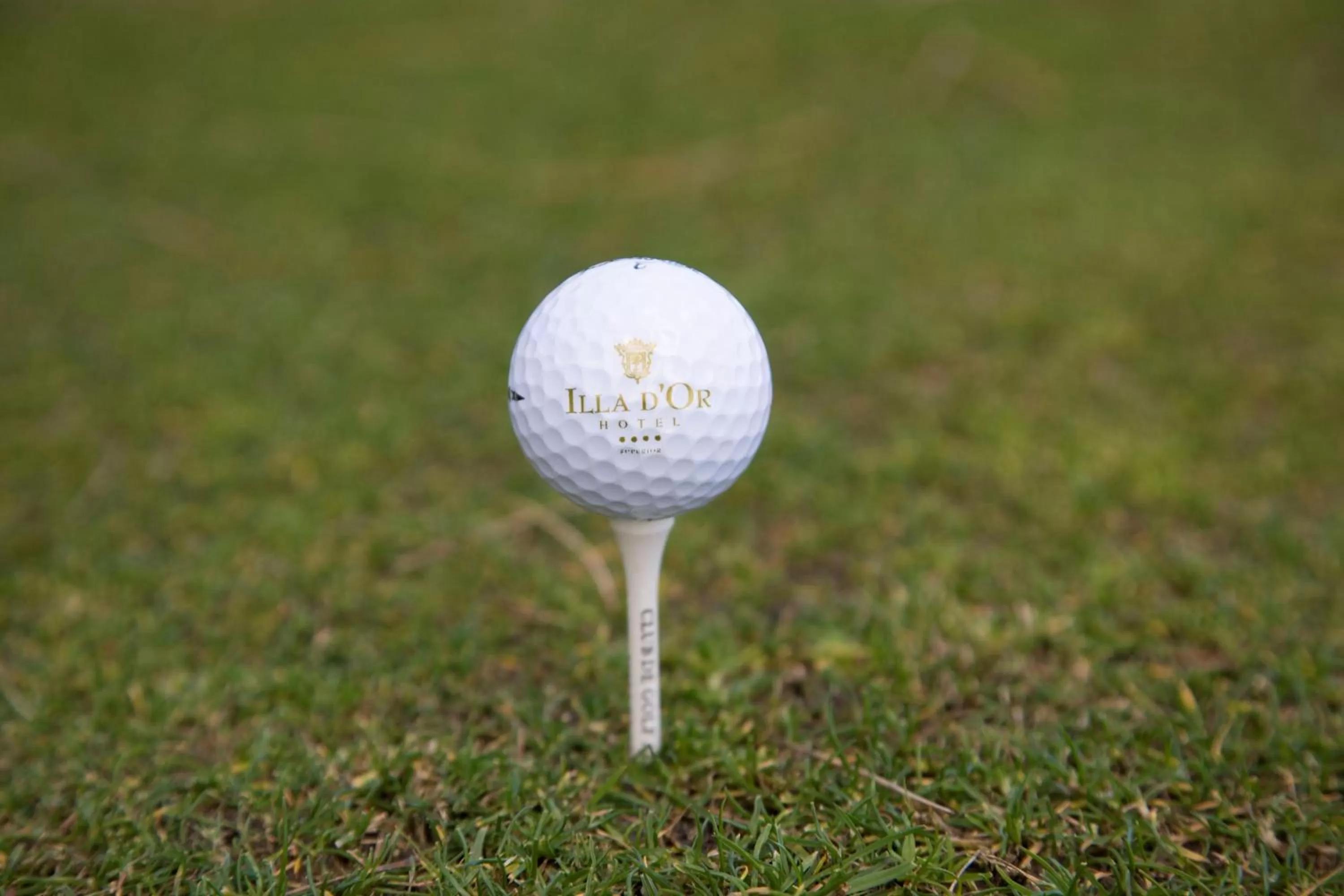 Other in Hotel Illa d'Or & Club Apts 4* Sup