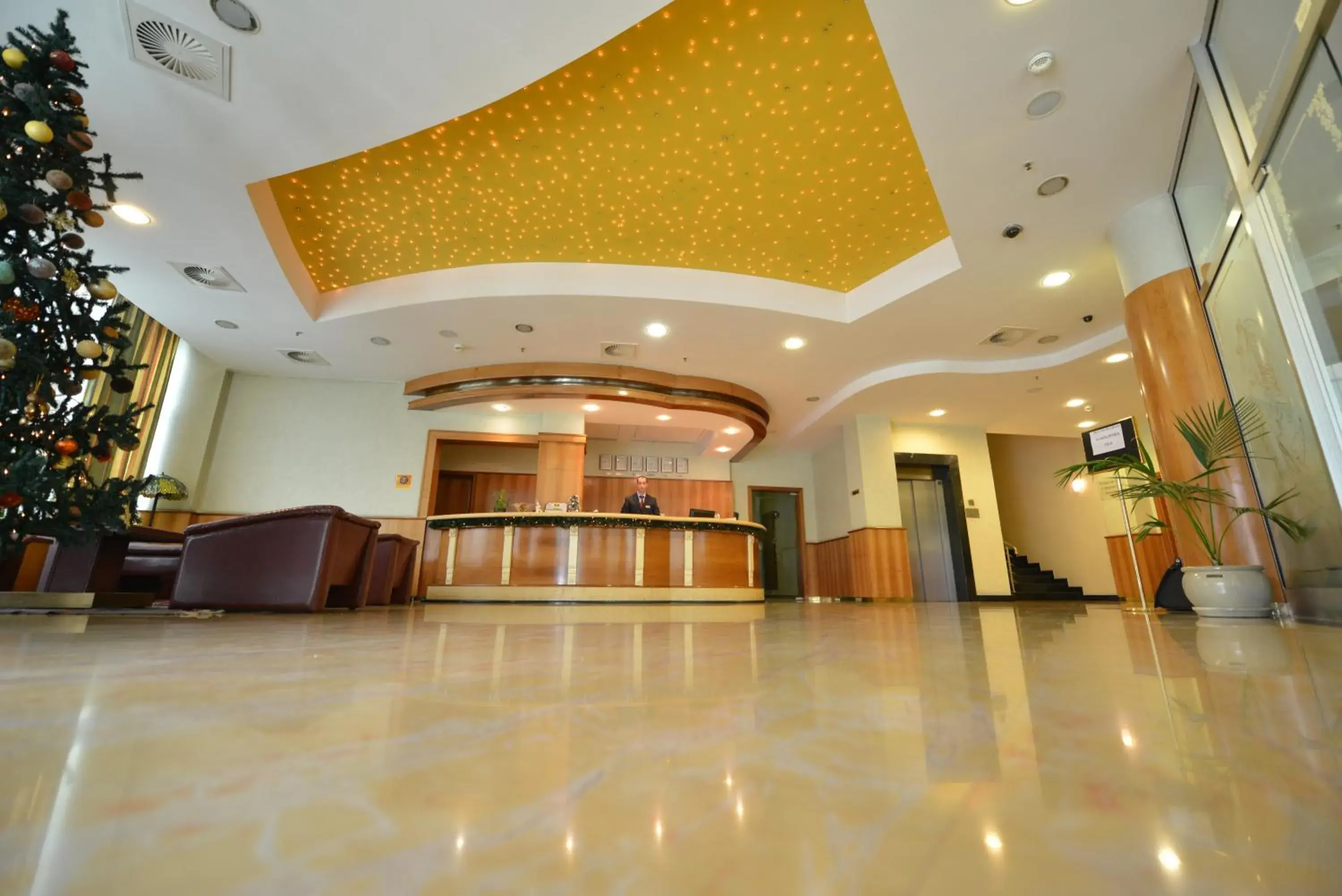 Lobby or reception, Lobby/Reception in Hotel Karpos