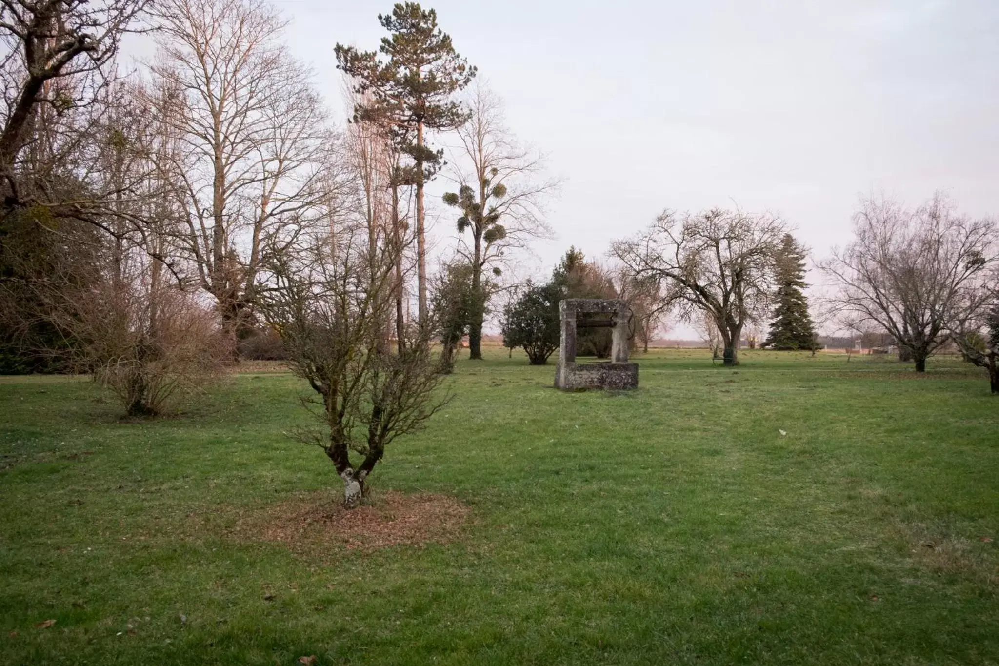 Area and facilities, Garden in La Bribaudonnière