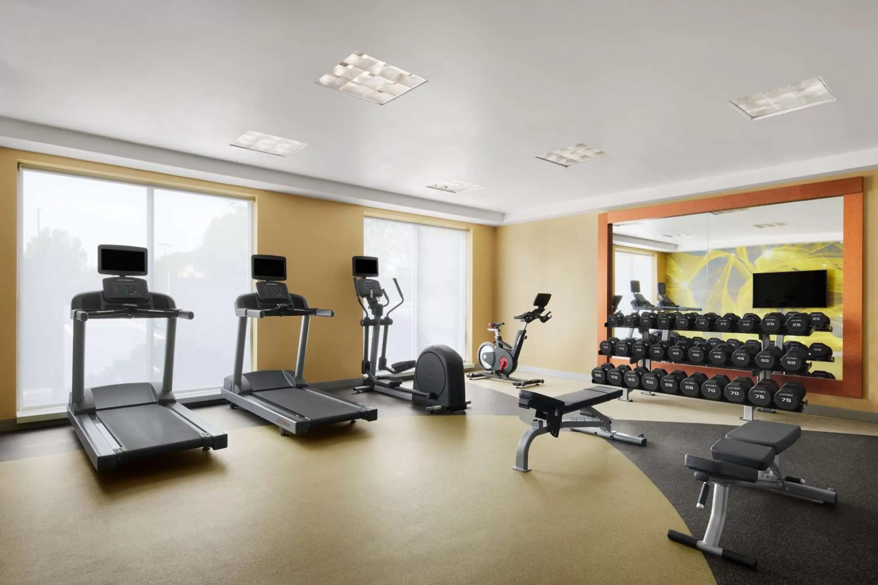 Fitness centre/facilities, Fitness Center/Facilities in Hilton Garden Inn Denver South Park Meadows Area