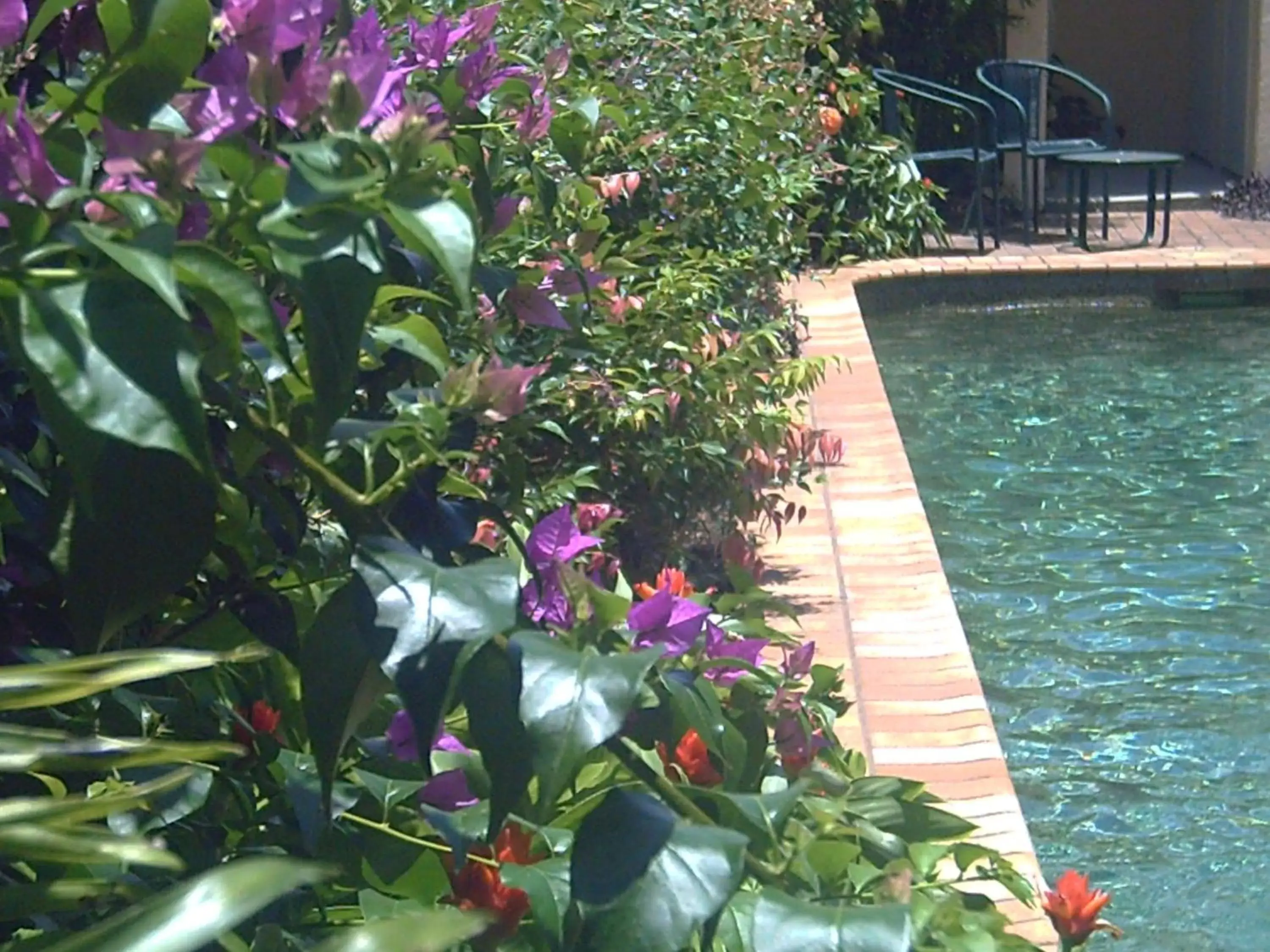 Pool view, Swimming Pool in Mid City Luxury Suites