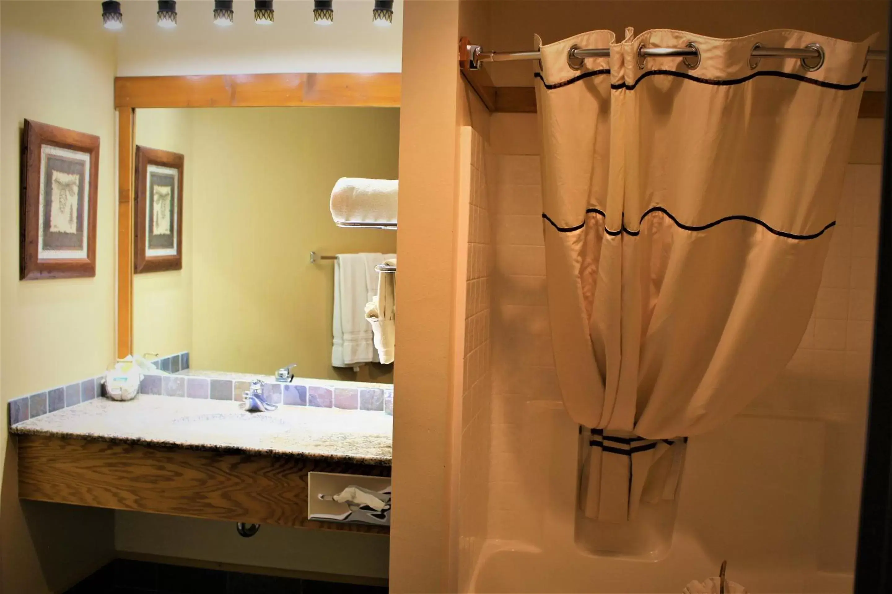 Bathroom in Spearfish Canyon Lodge