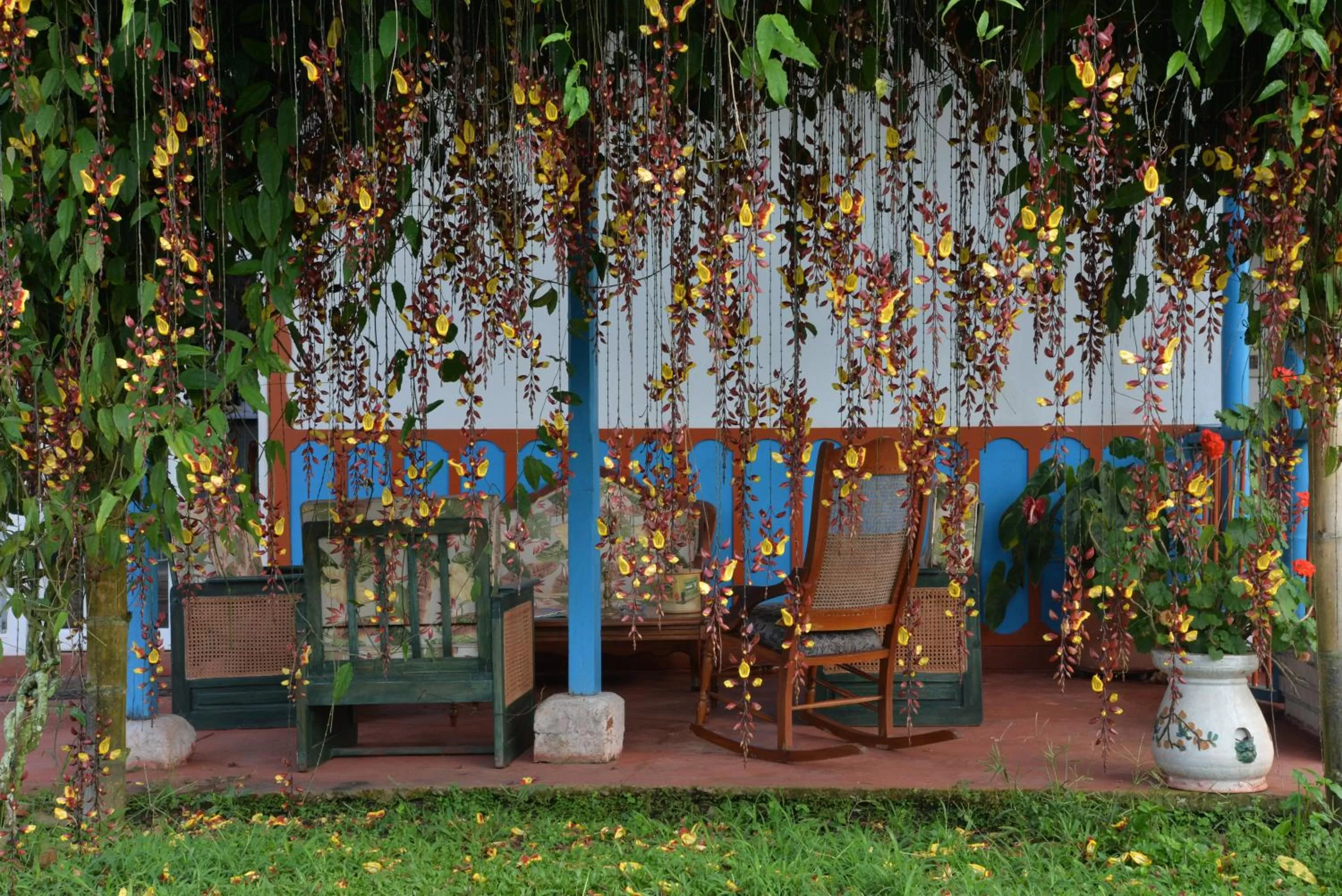 Patio in Balsora Hotel Boutique