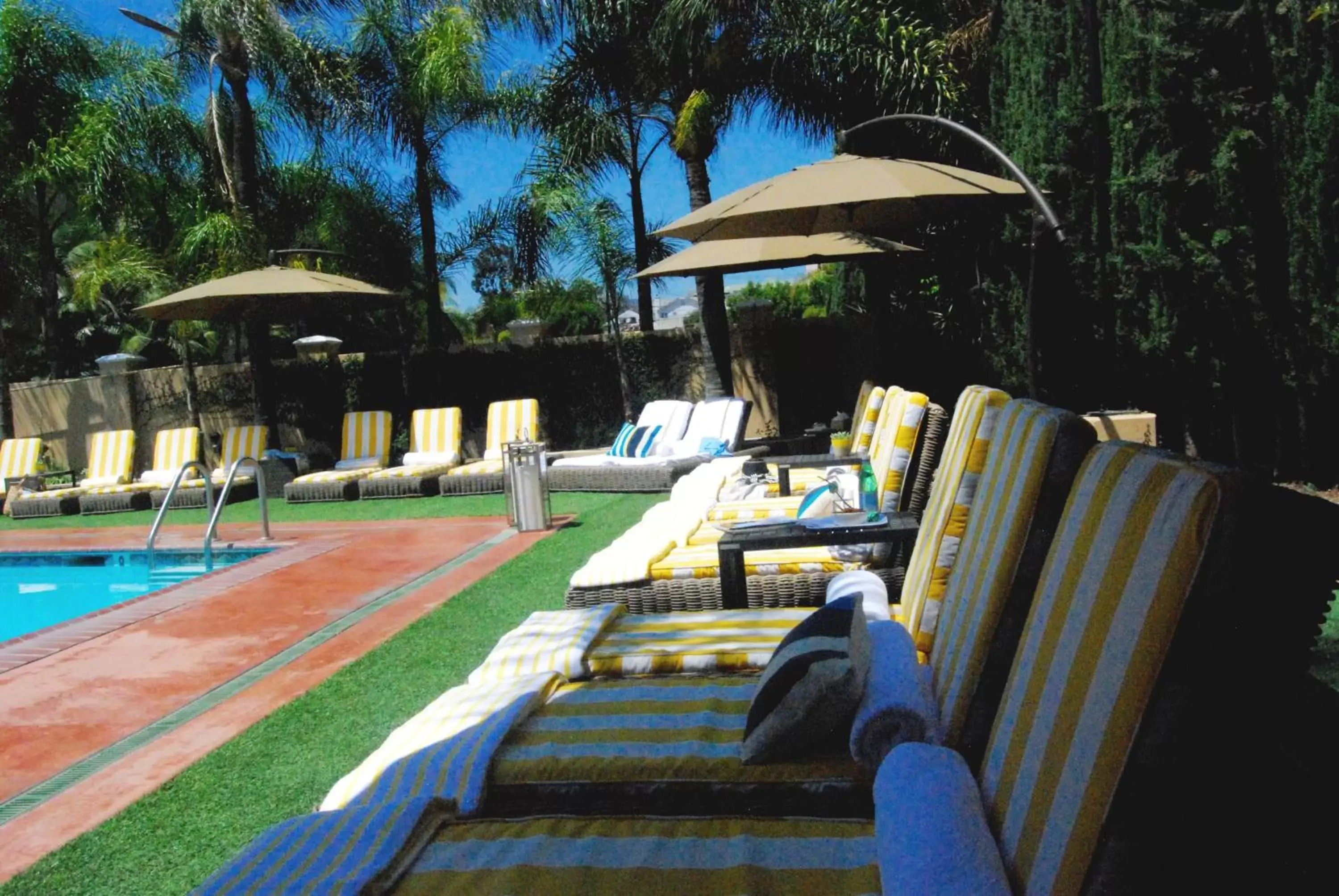 Garden, Patio/Outdoor Area in Hollywood Hotel - The Hotel of Hollywood Near Universal Studios