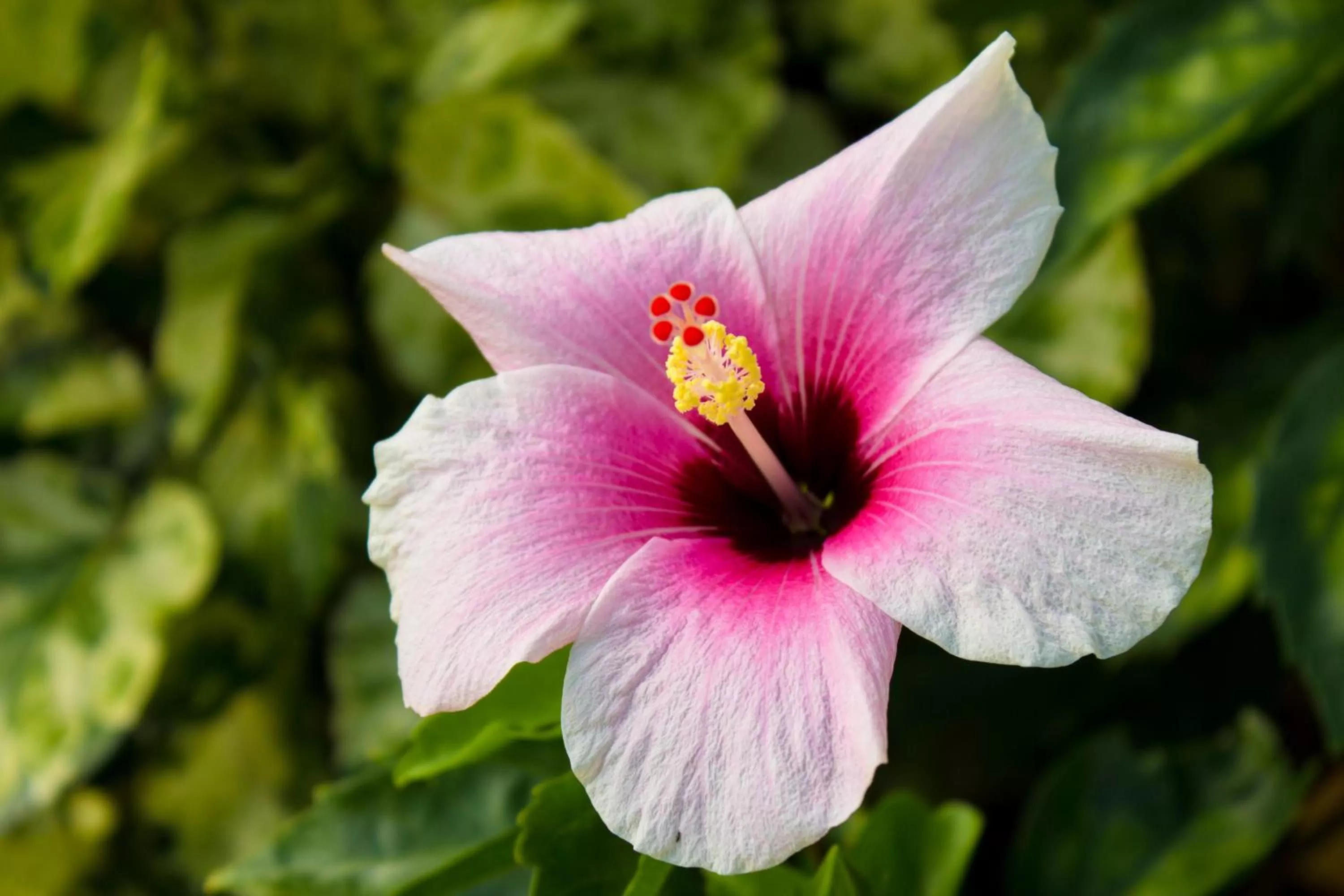 Property building in Bay Gardens Beach Resort & Spa