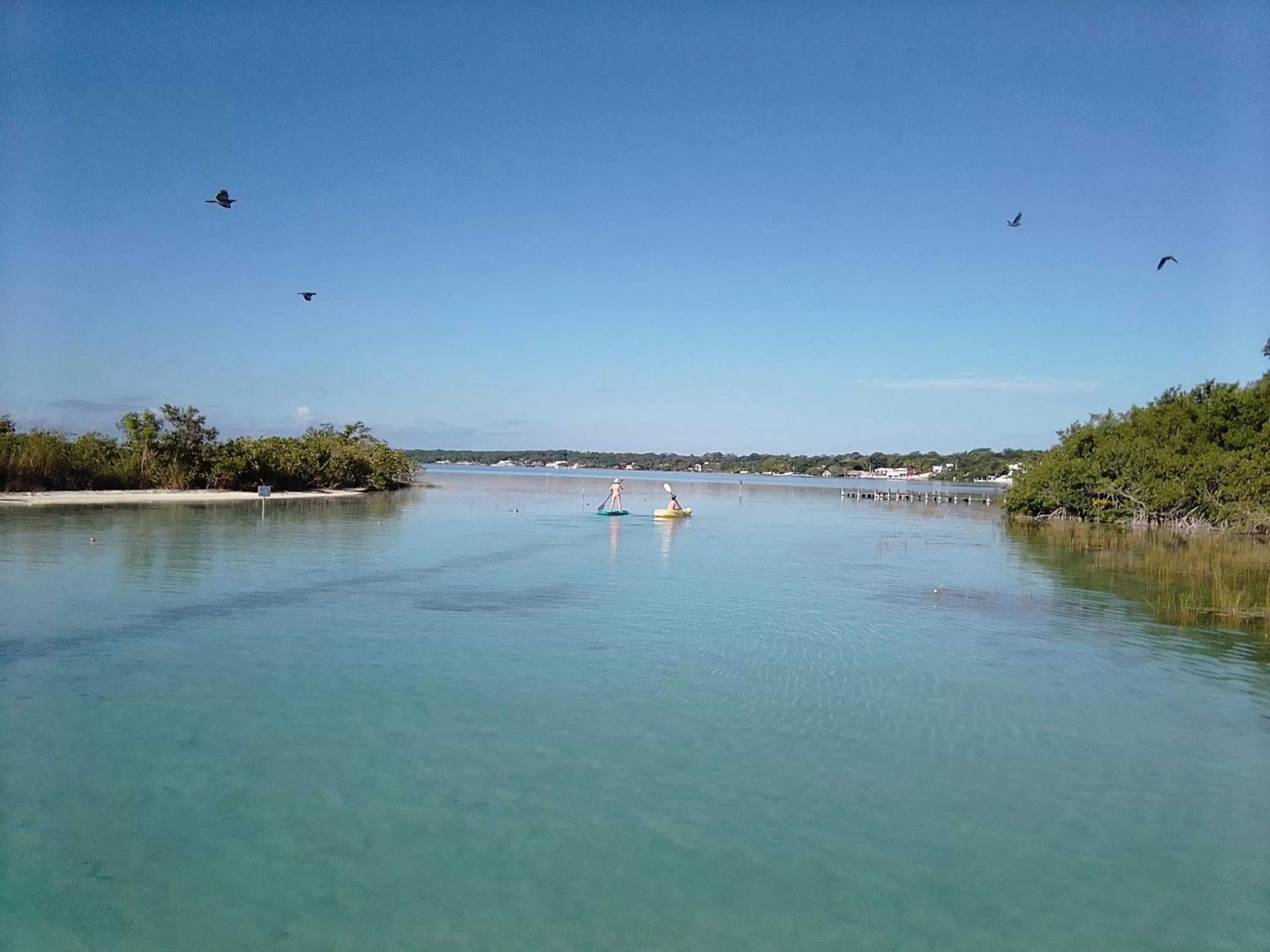 Natural landscape in Eco Hotel Casa Corazón Bacalar