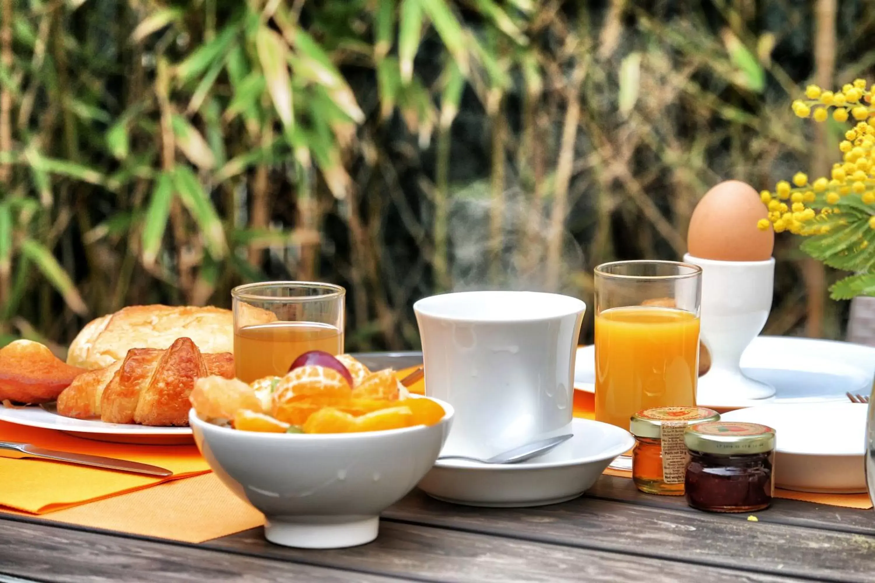 Patio, Breakfast in Villa Les Bains