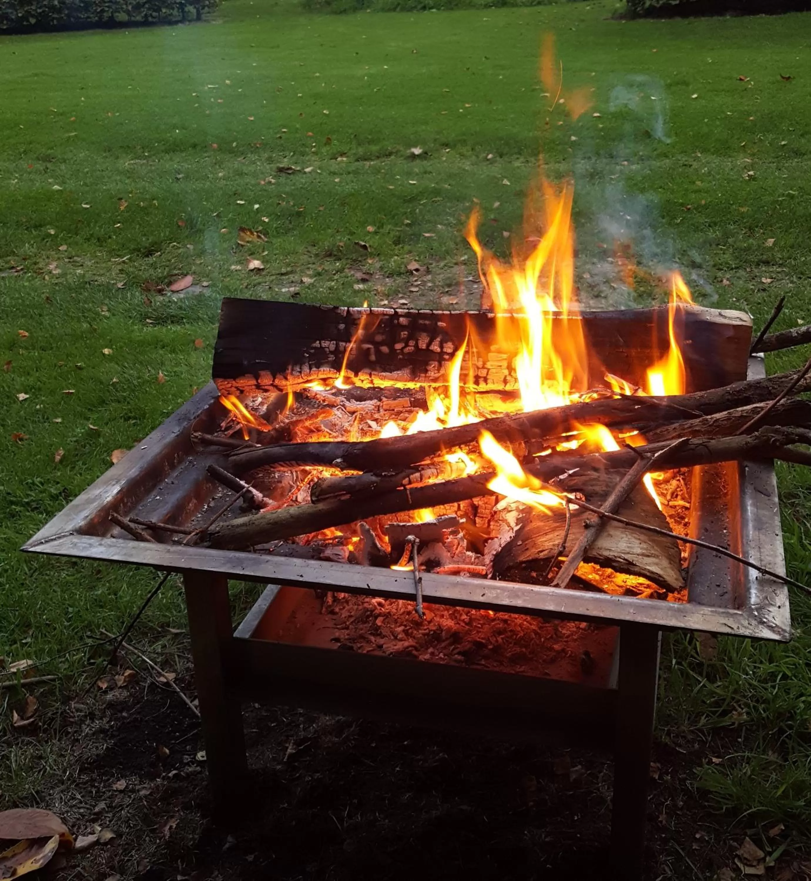 Garden in B&B Gastvrij Lenthe