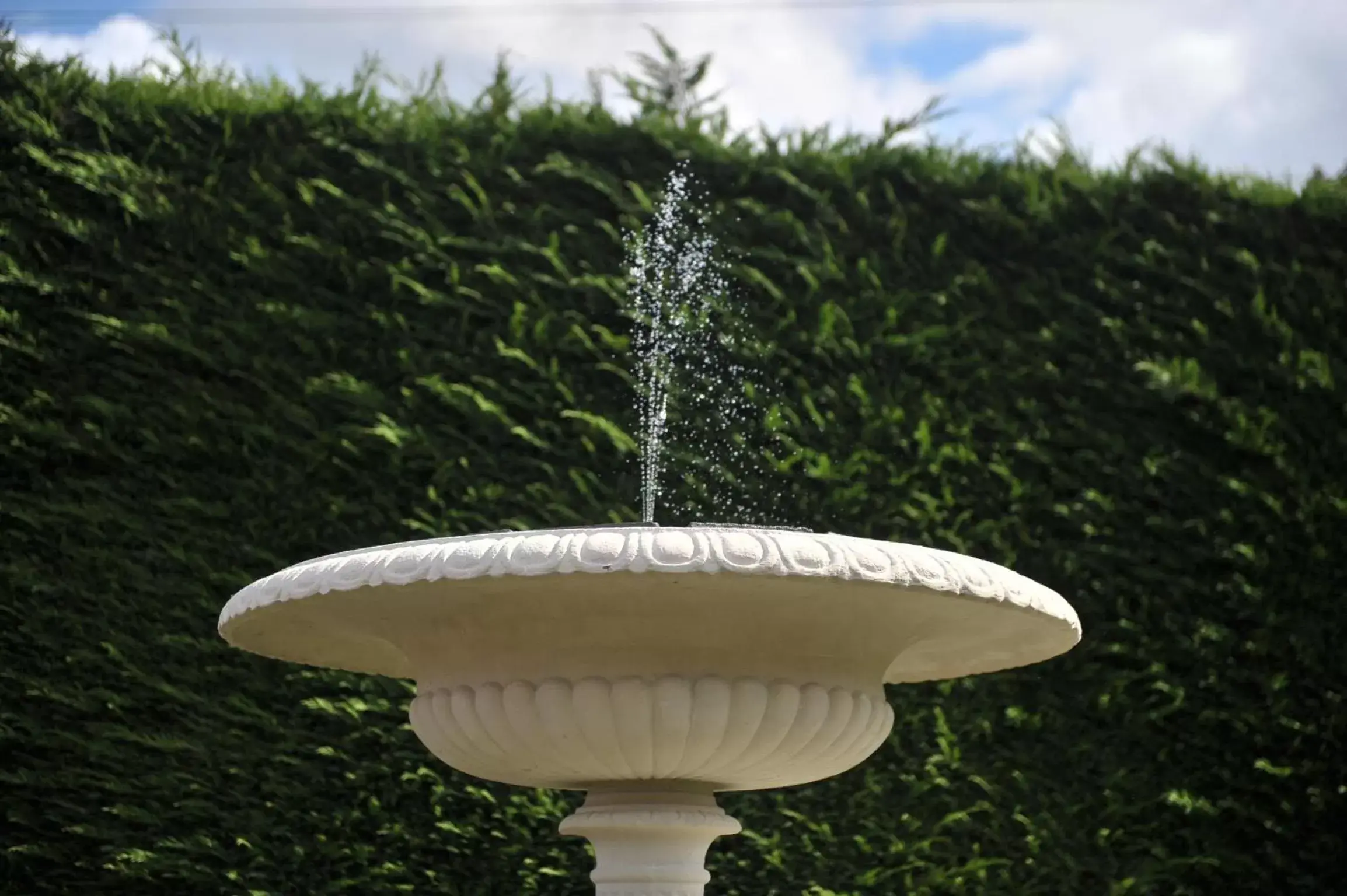 Garden in Braid Hills Hotel