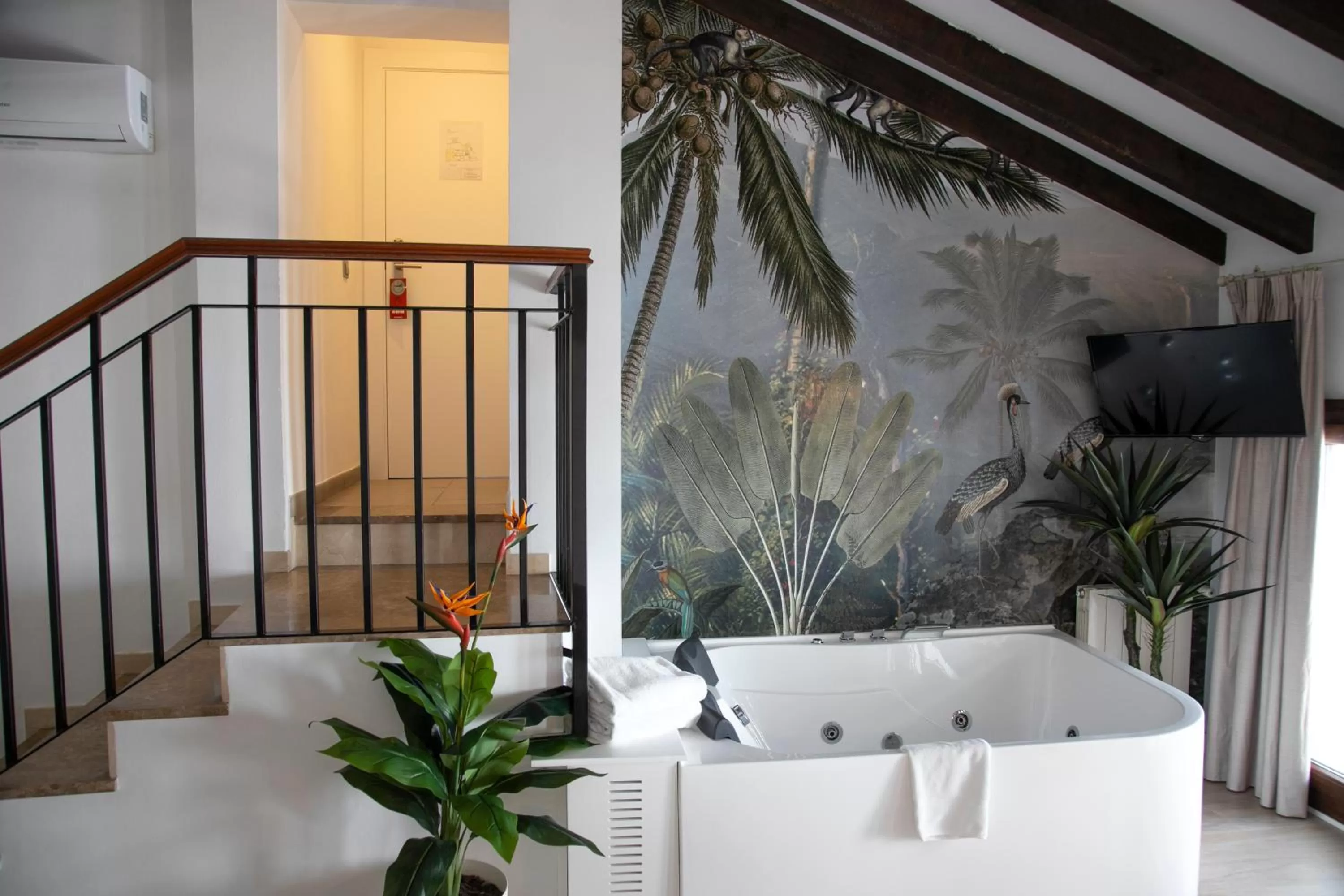 Photo of the whole room in Vitium Córdoba