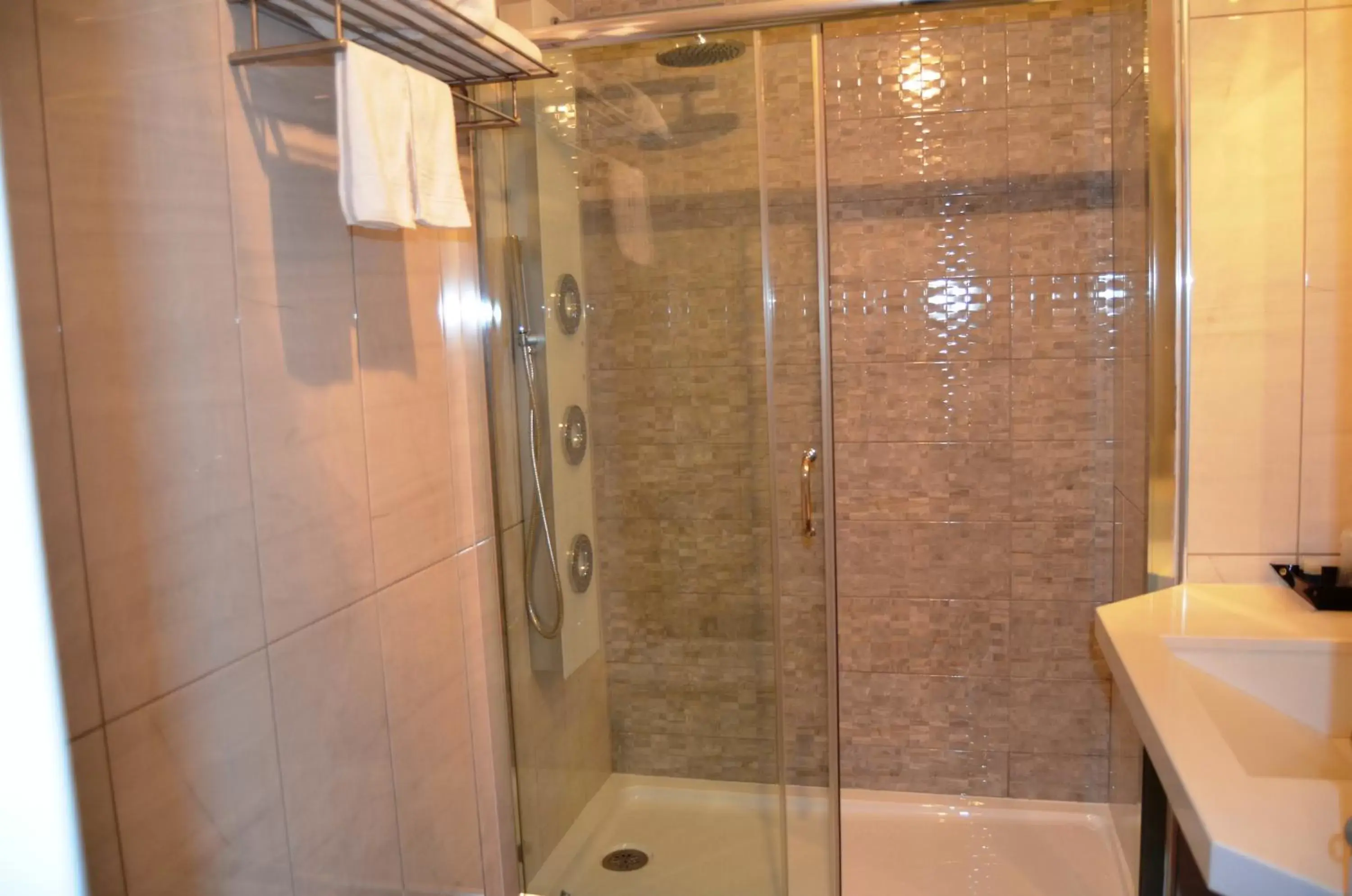 Shower, Bathroom in Hotel Torres Novas