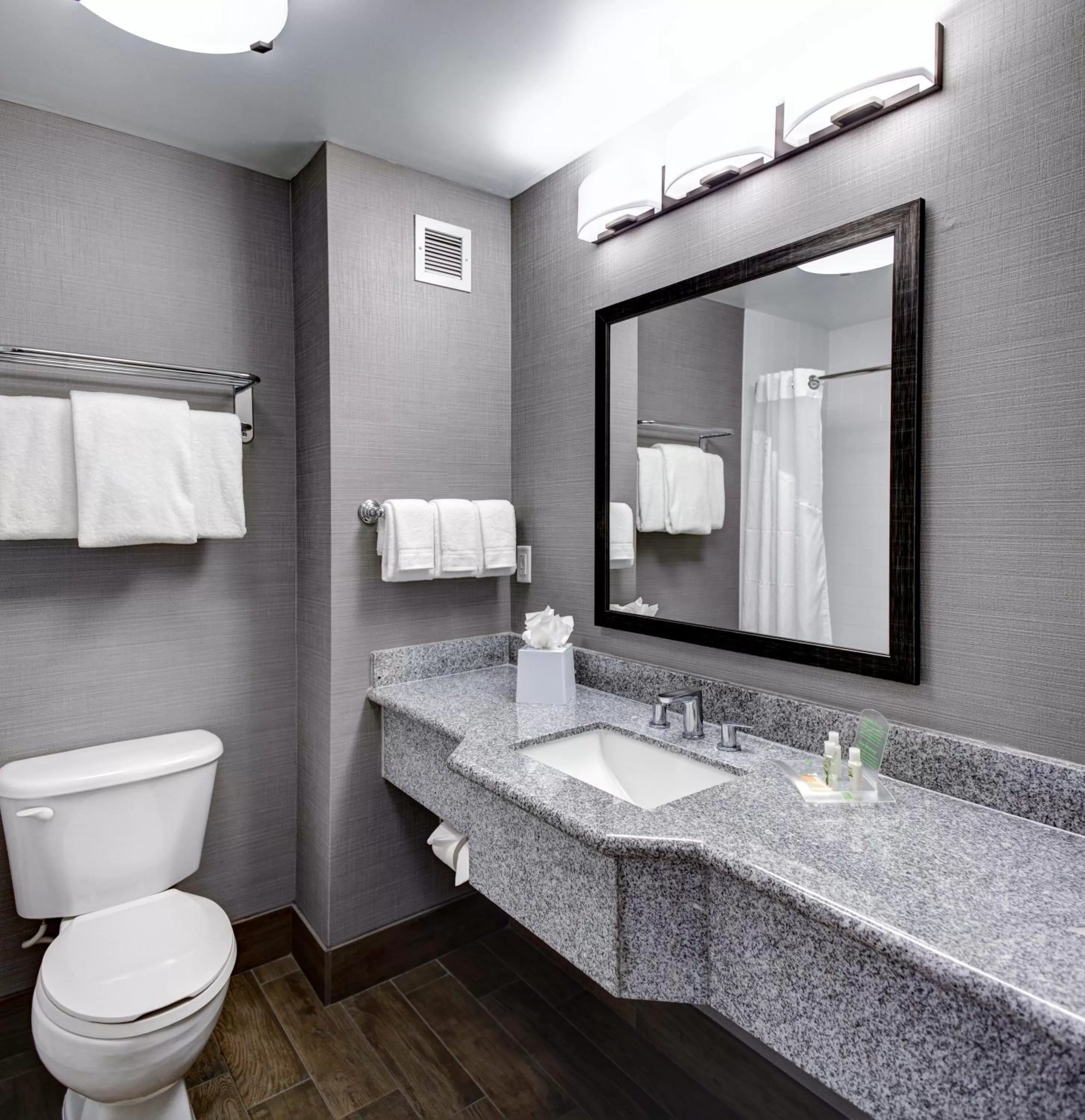 King Room - Hearing Accessible - Non-Smoking in Holiday Inn Savannah Historic District, an IHG Hotel