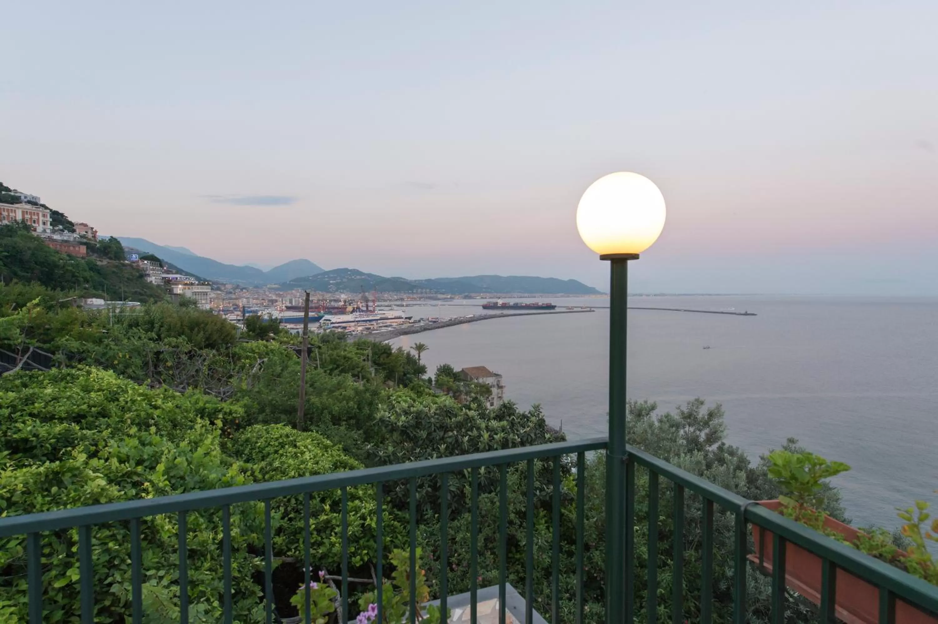 Garden in Hotel Bristol