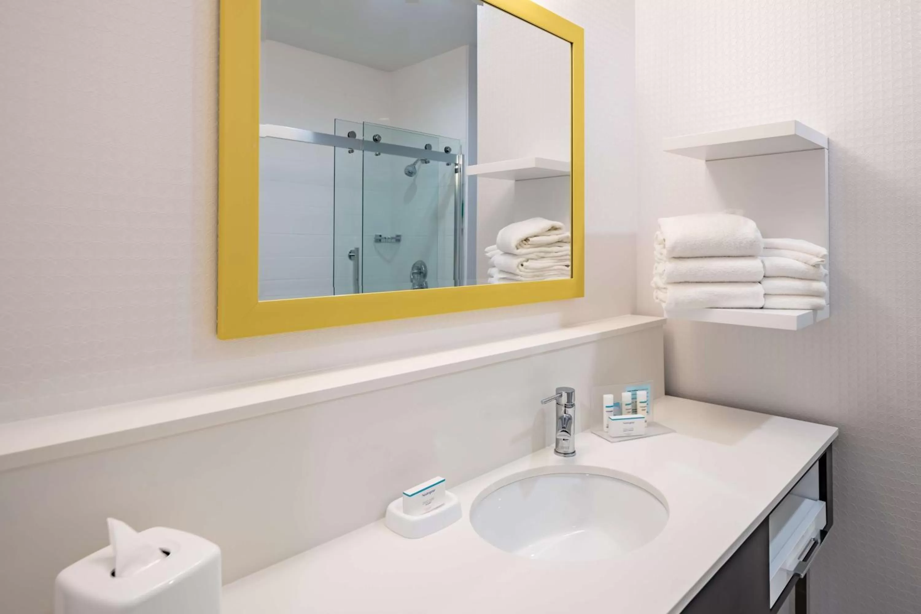 Bathroom in Hampton Inn & Suites Dallas/Plano Central