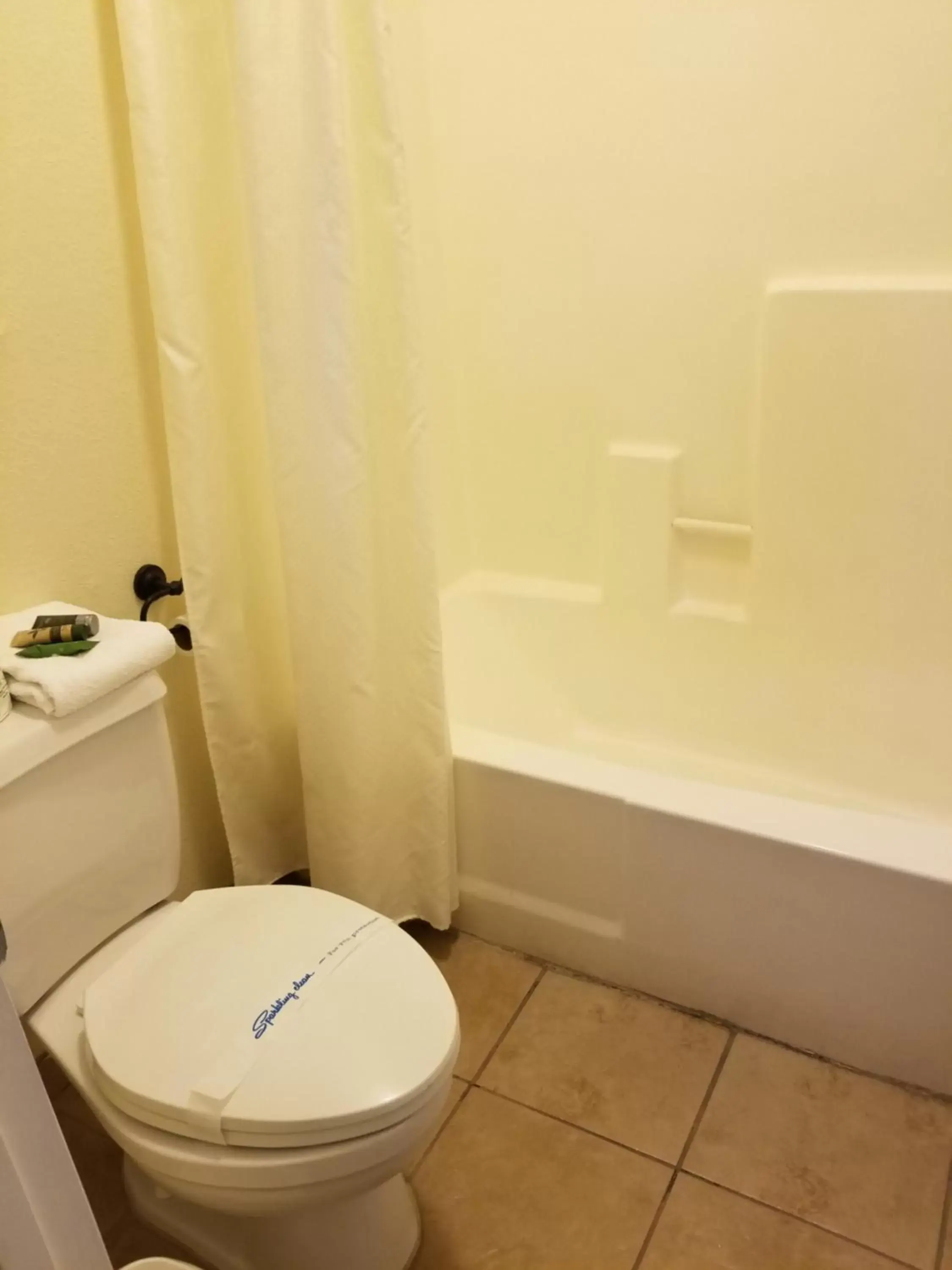 Toilet, Bathroom in Fireside Lodge