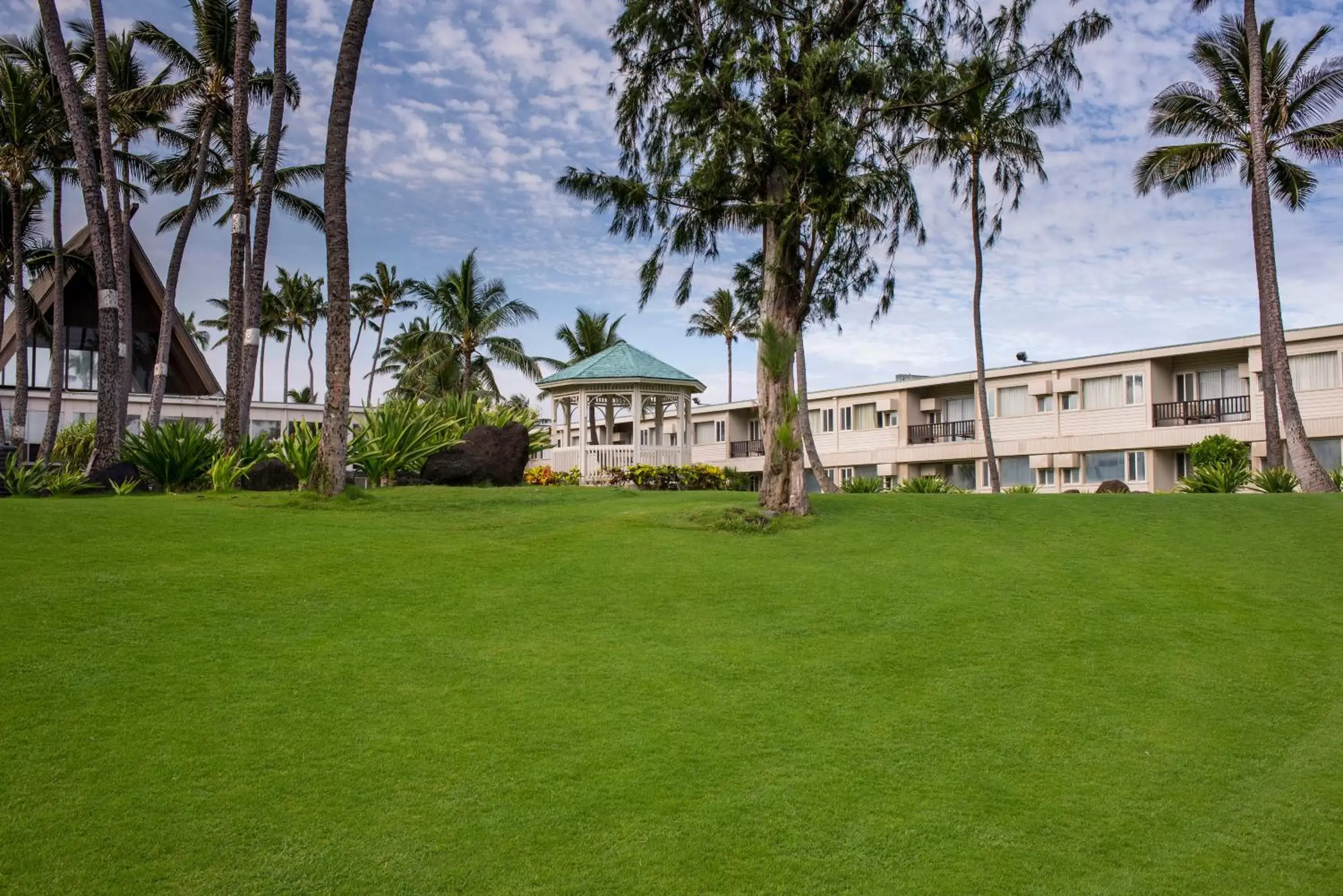 Natural landscape, Garden in Maui Beach Hotel