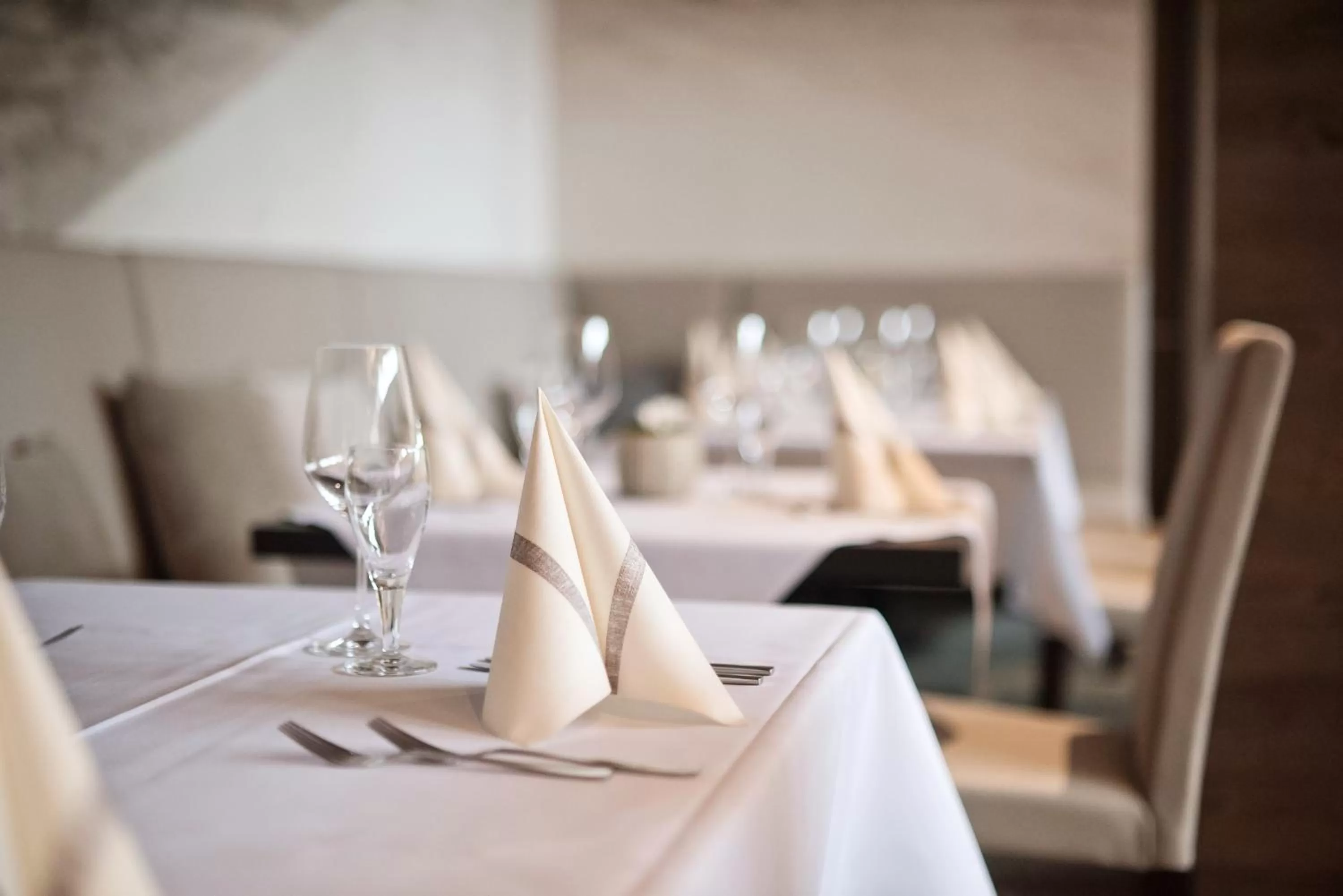 Food and drinks in Landhotel Bad Dürrenberg