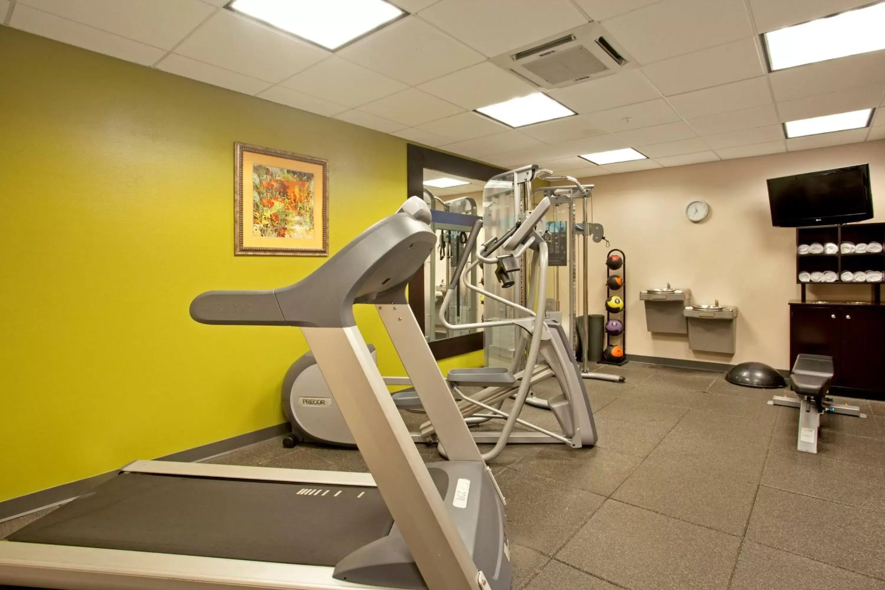 Fitness centre/facilities, Fitness Center/Facilities in Hampton Inn & Suites Nashville-Smyrna