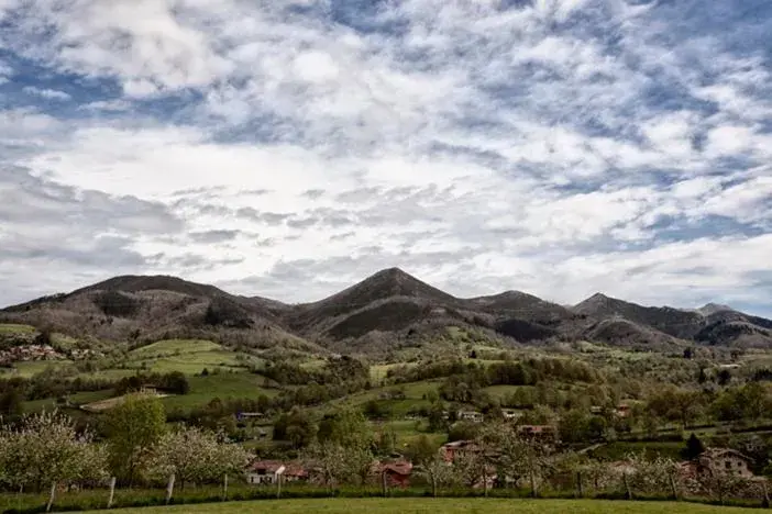 Area and facilities in Hotel & Spa Villa de Mestas