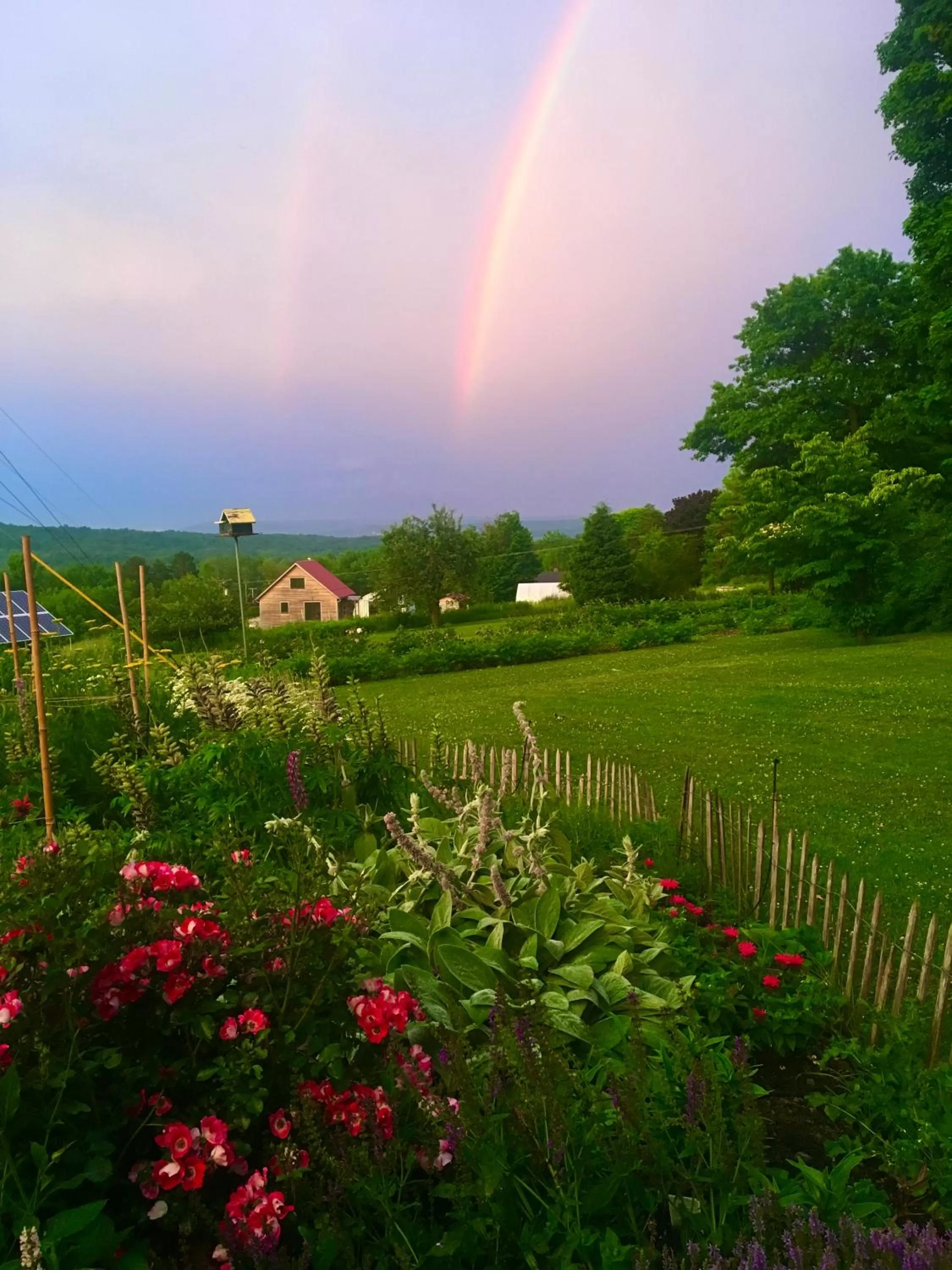 Summer in Enfield Manor Bed&Breakfast and Vacation Rental