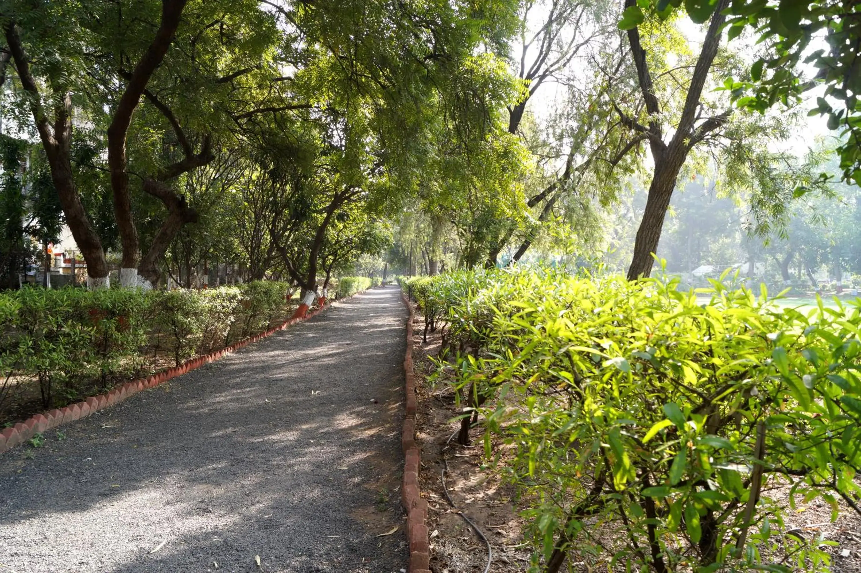 Entertainment, Garden in The Ambassador Ajanta