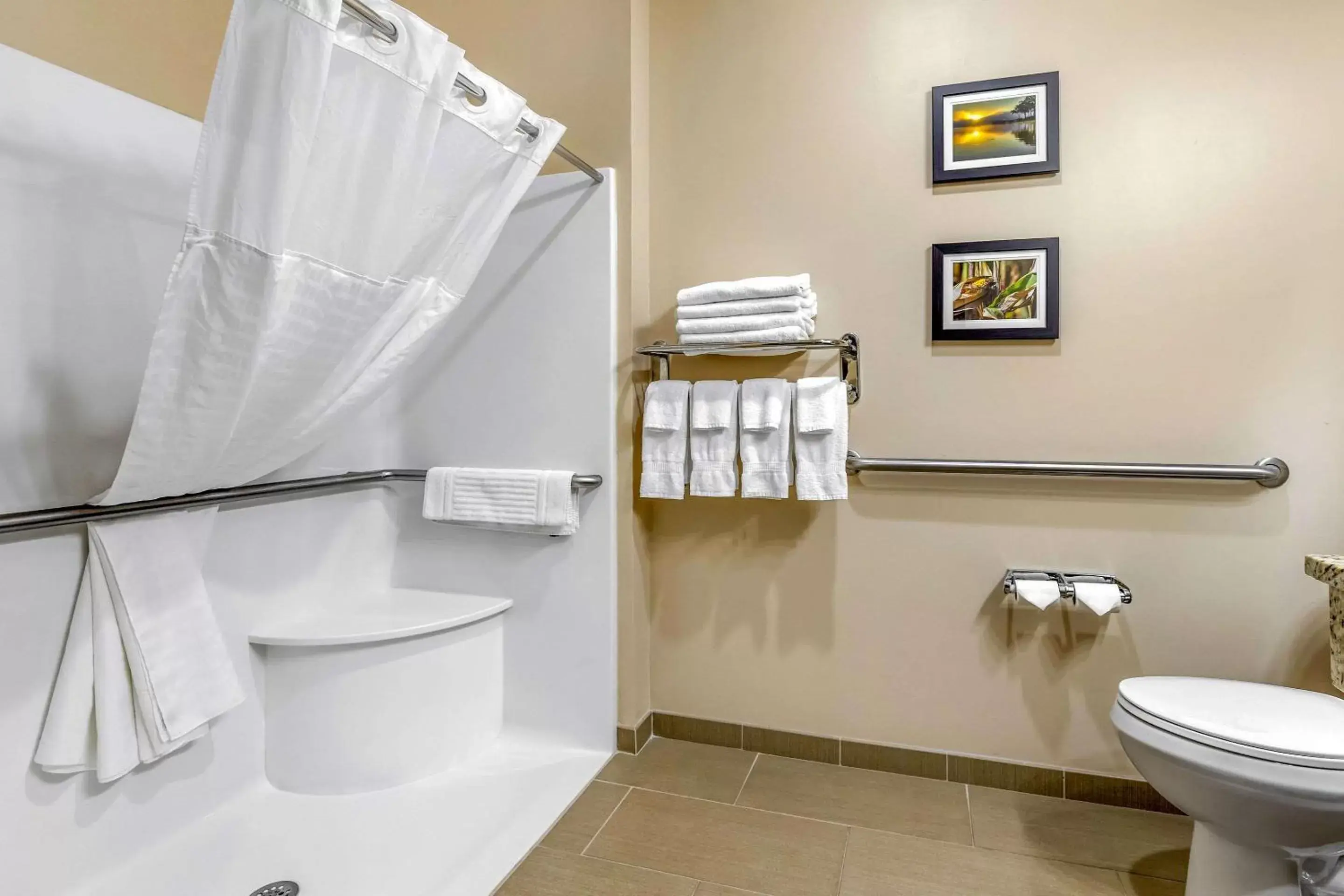 Photo of the whole room, Bathroom in Comfort Inn & Suites Davenport - Quad Cities