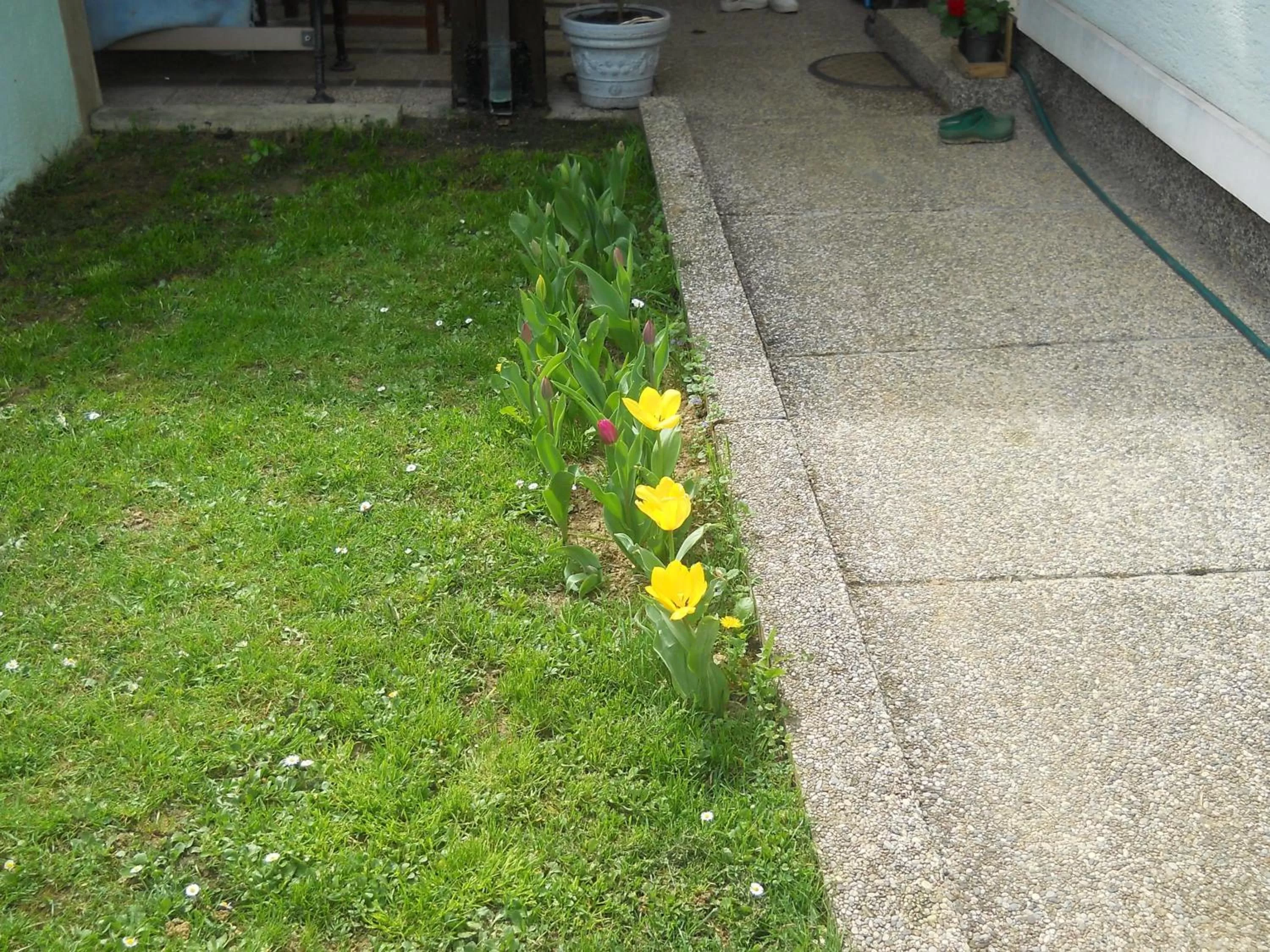 Apartment & Rooms Miboti