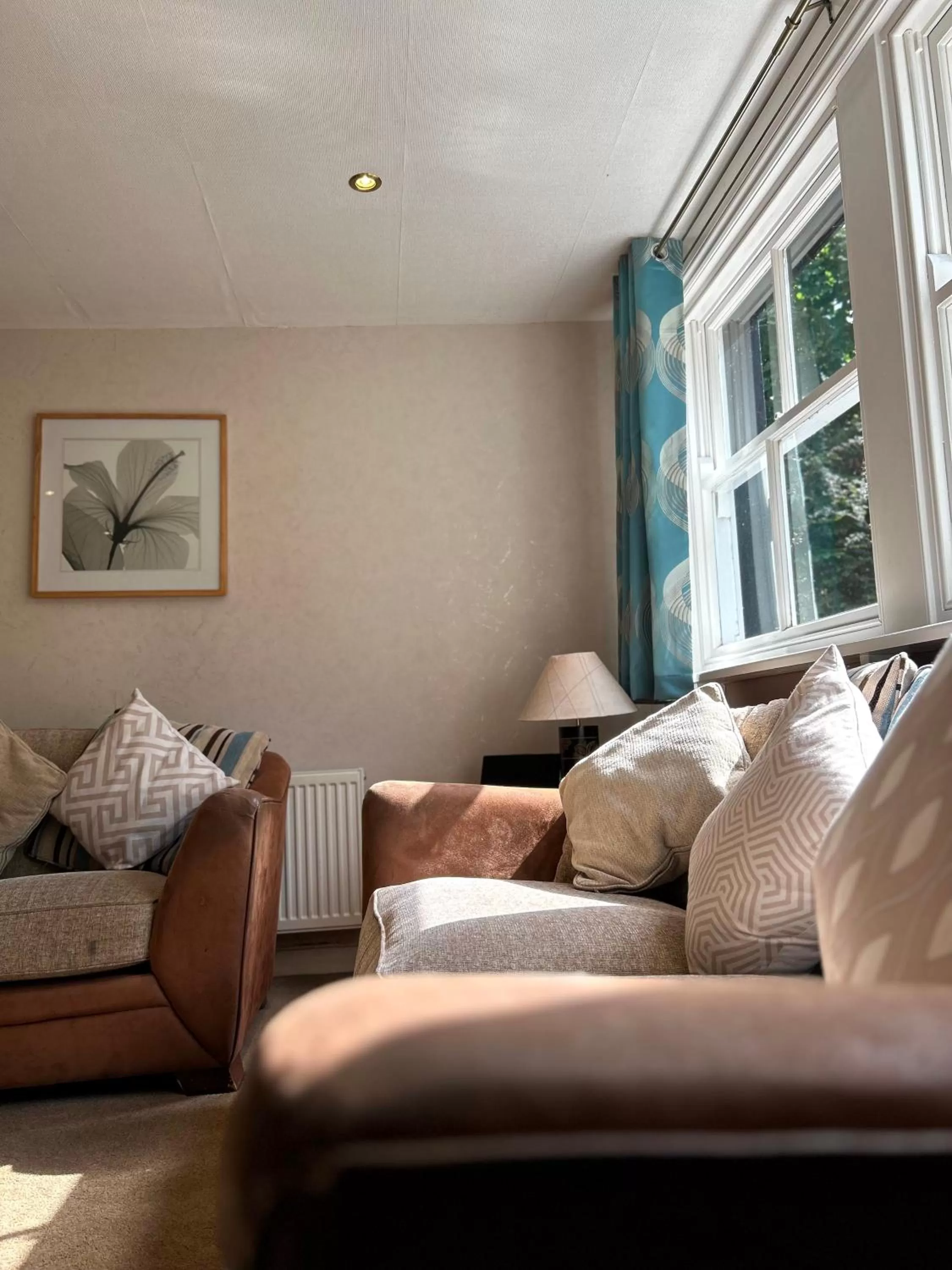 Living room in Royal Oak Appleby