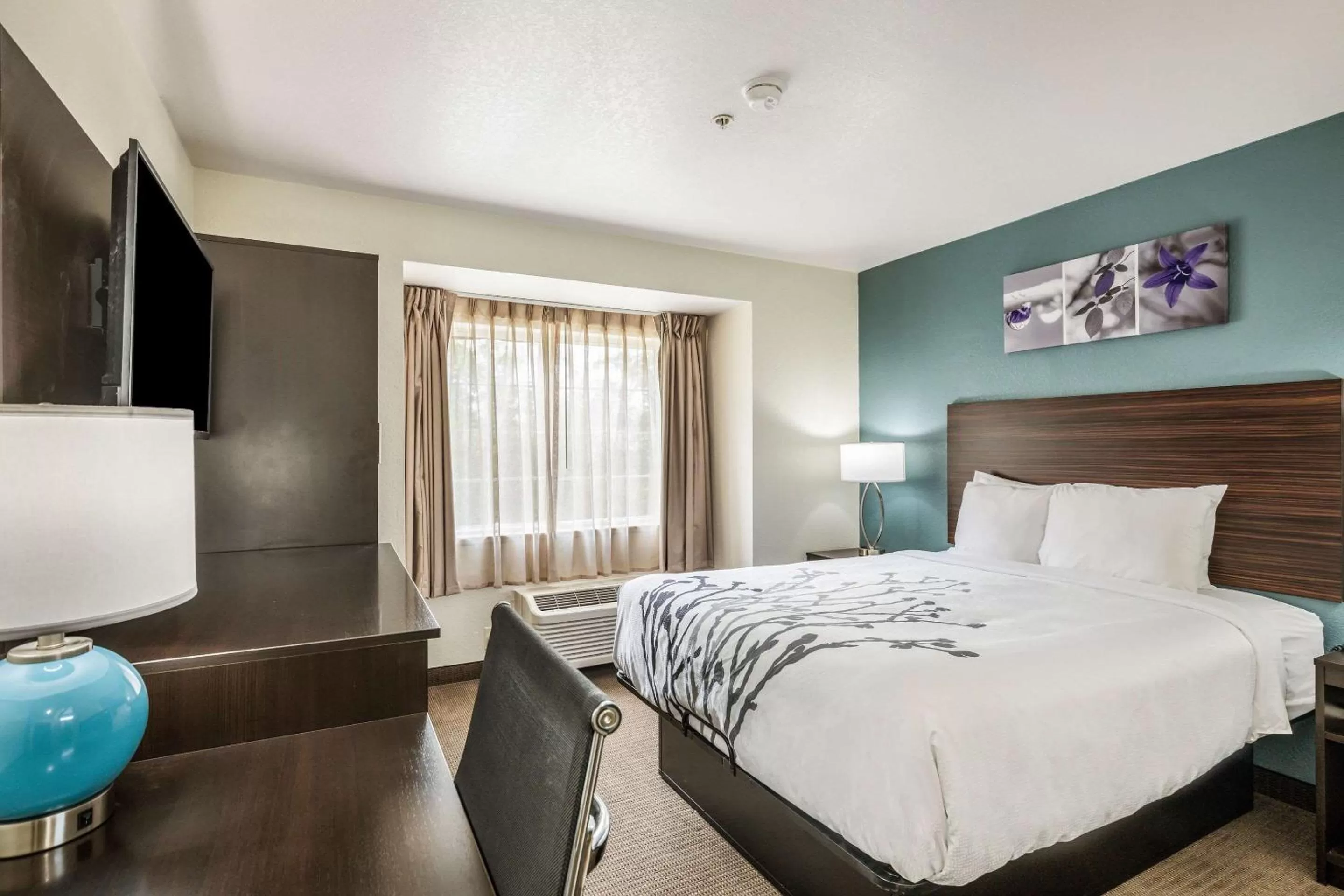 Photo of the whole room, Bed in Sleep Inn & Suites Tallahassee-Capitol