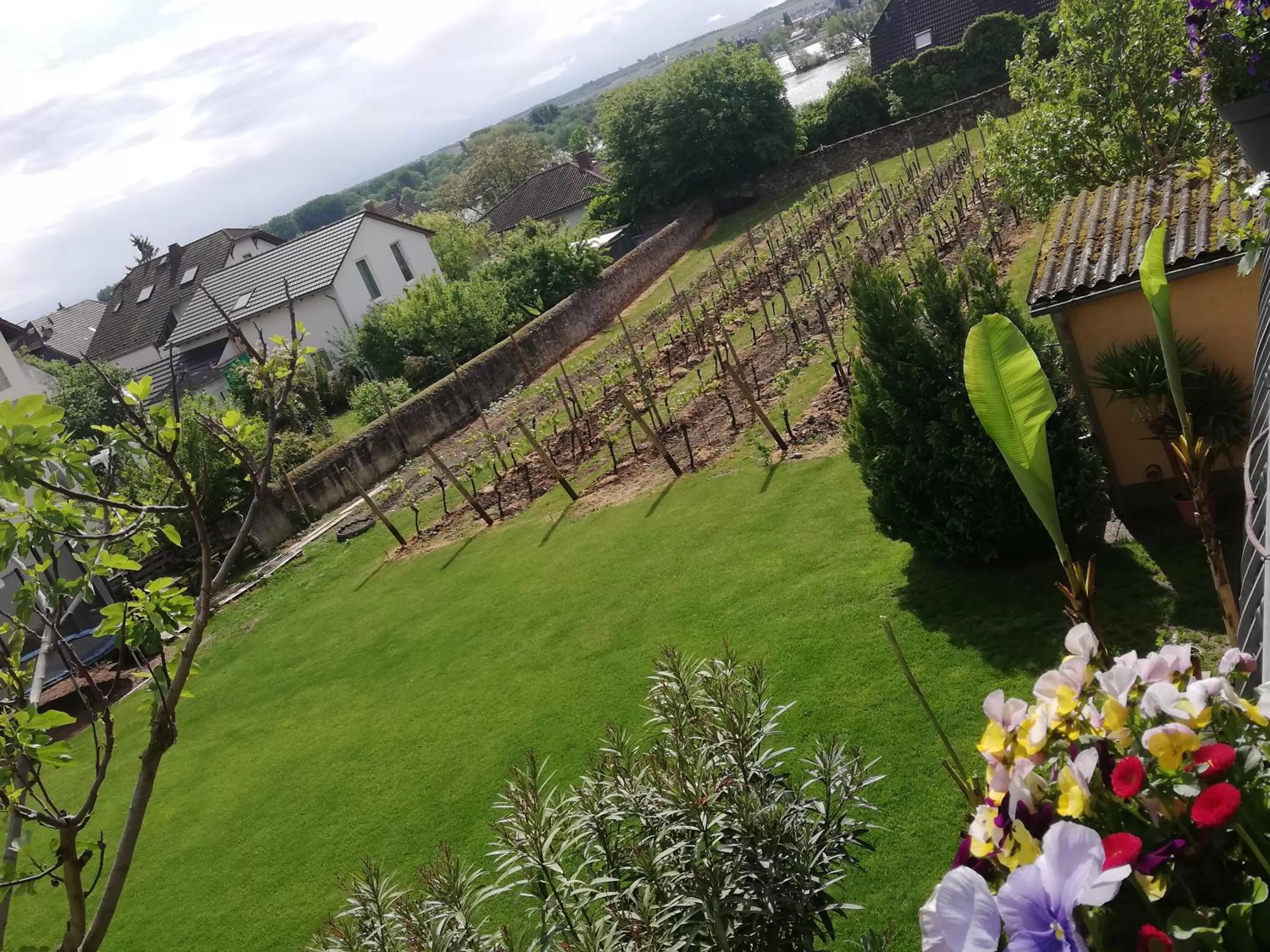 Bed and Breakfast - Rheingauer Hof