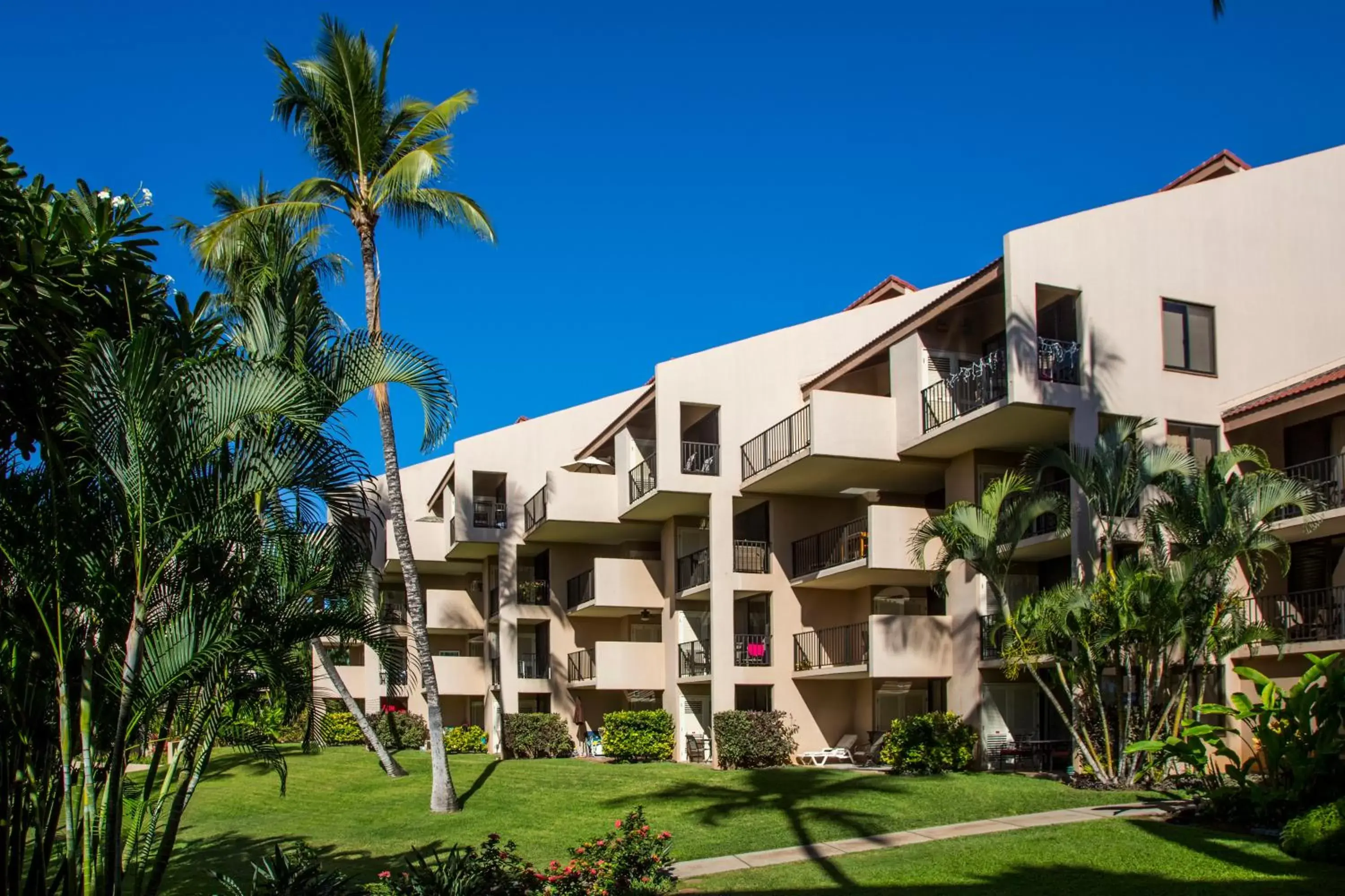 Property Building in Castle Kamaole Sands