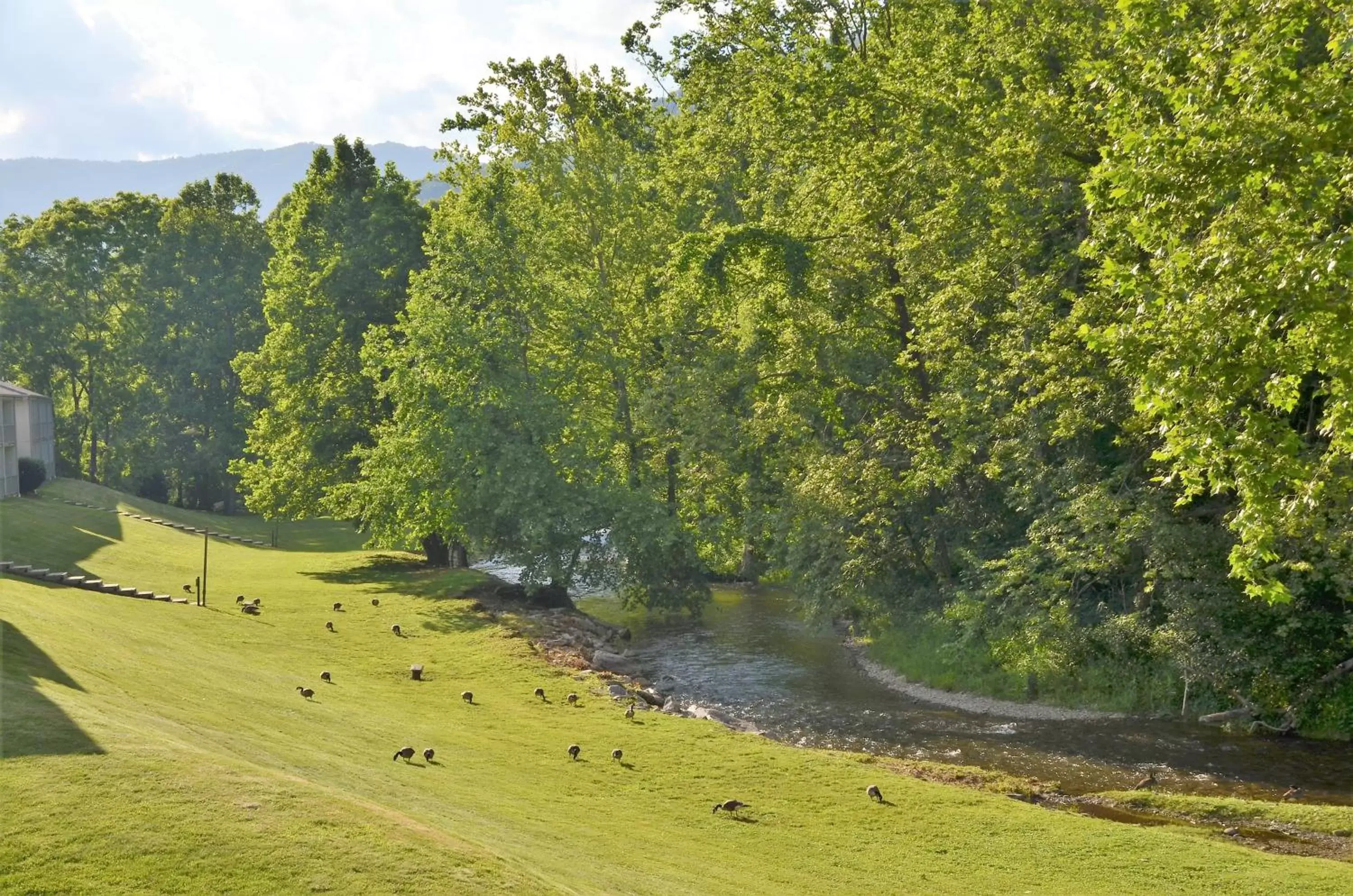 Natural landscape in Quality Inn Cherokee